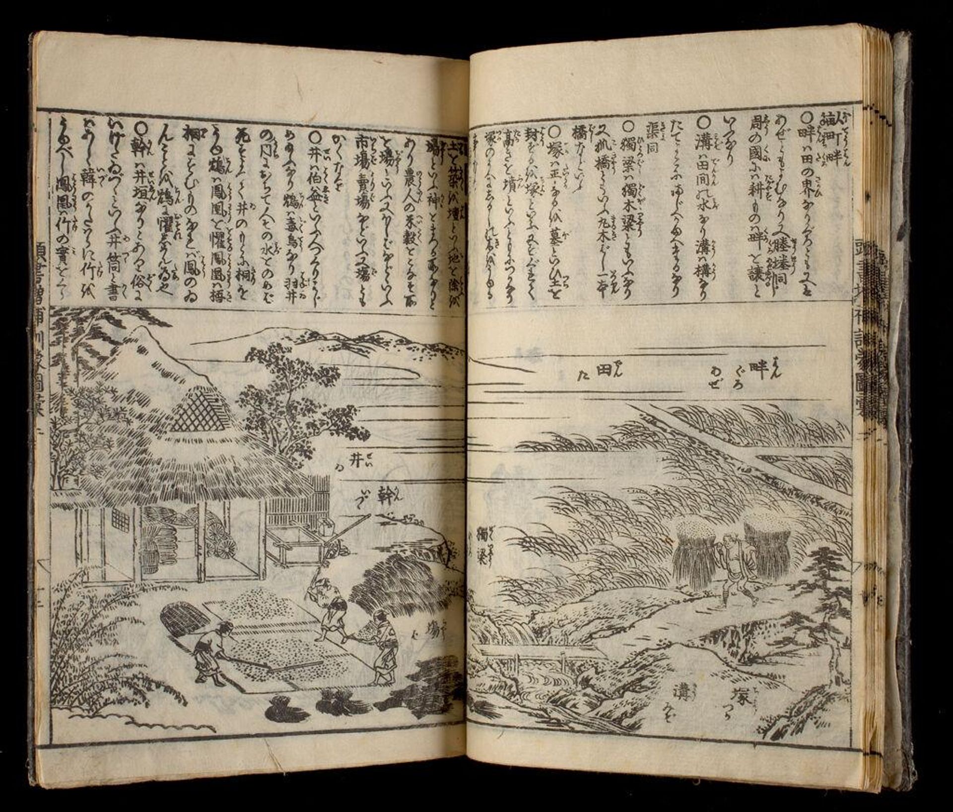 Great Illustrated Encyclopedia, Revised and Enlarged (SÅbo tÅsho kinmÅ zui taisei), vol. 2 by Author: Nakamura Tekisai