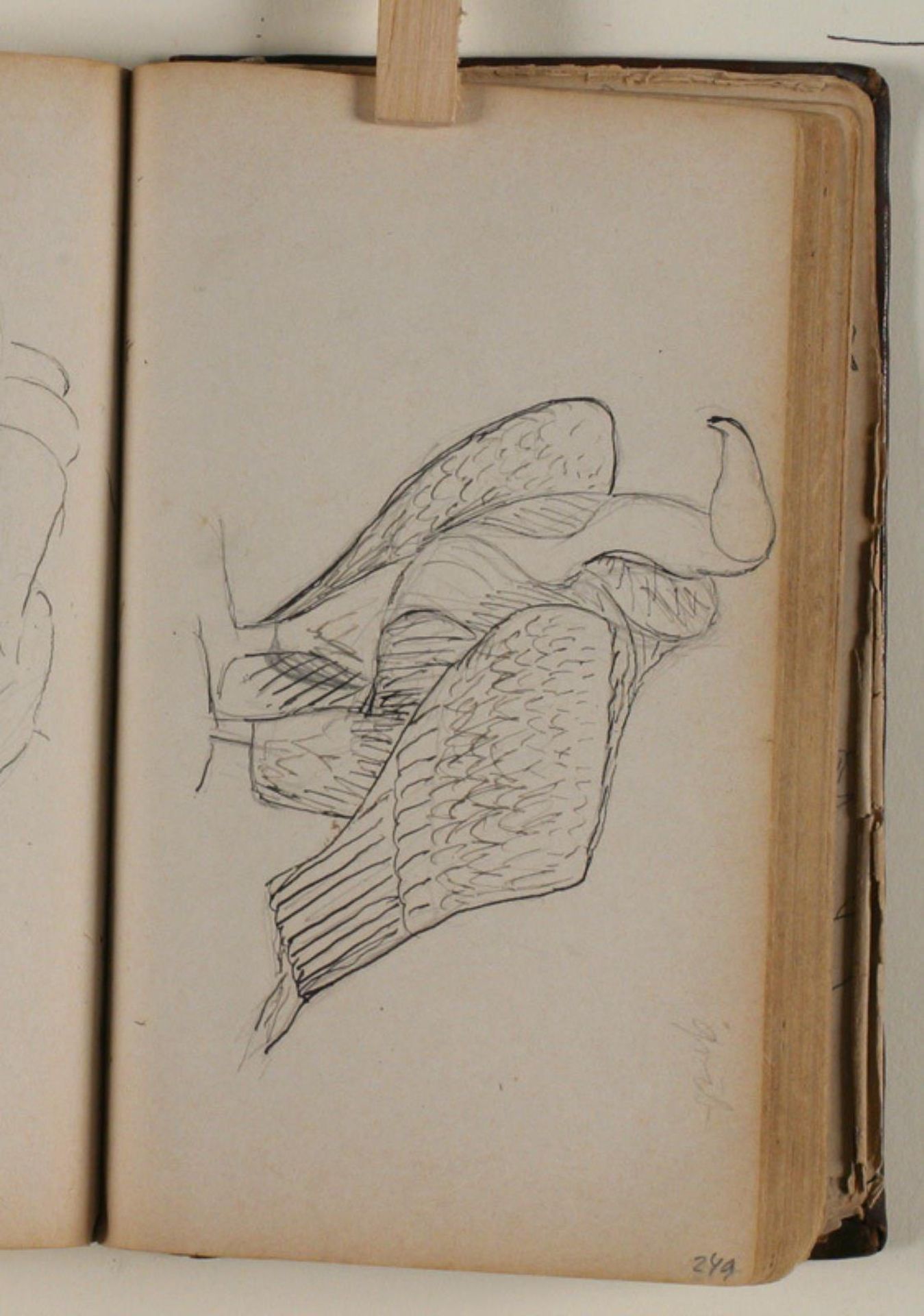 Studie af grib by Niels Larsen Stevns