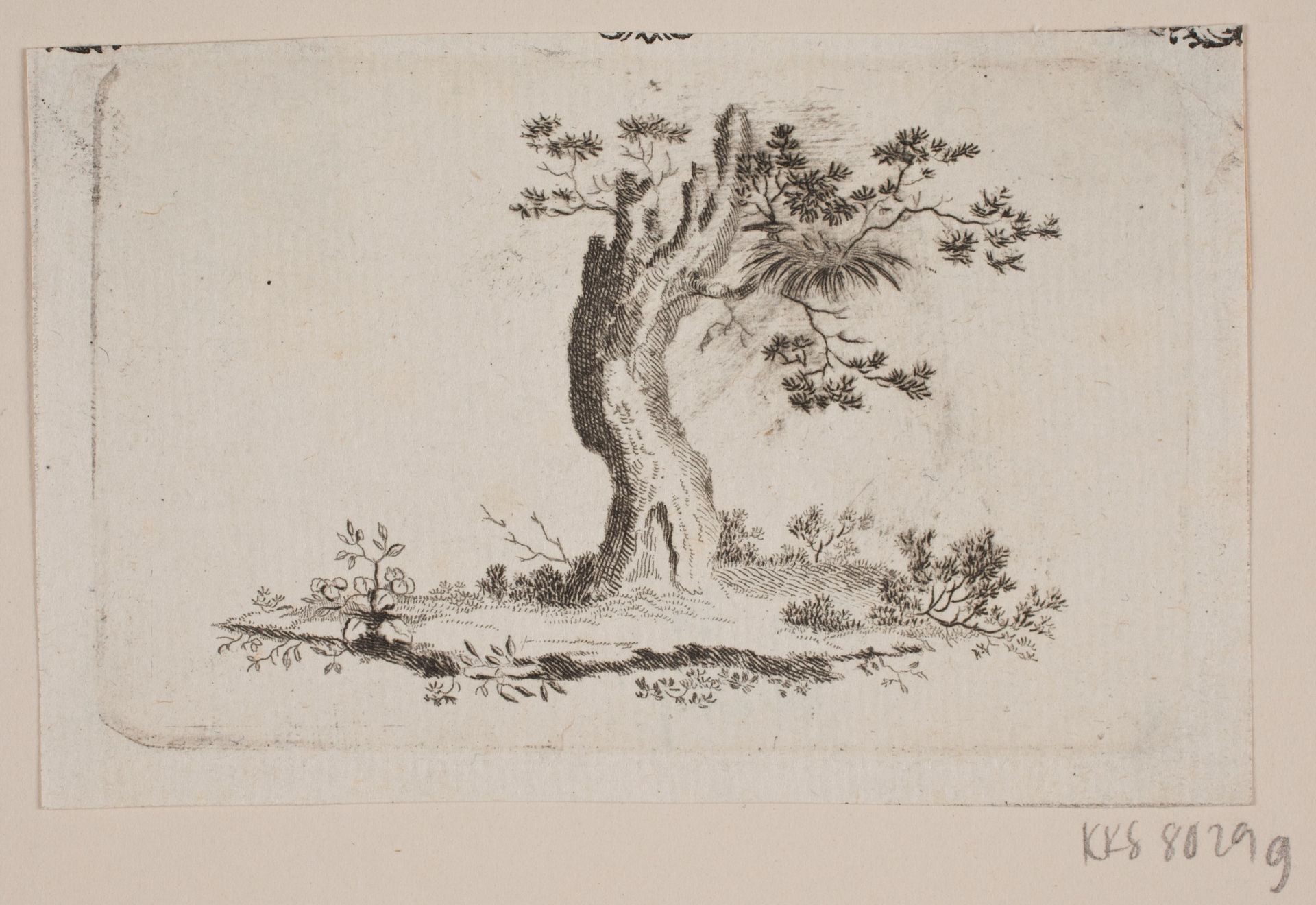 Træbul by Frederik Ludvig Bradt