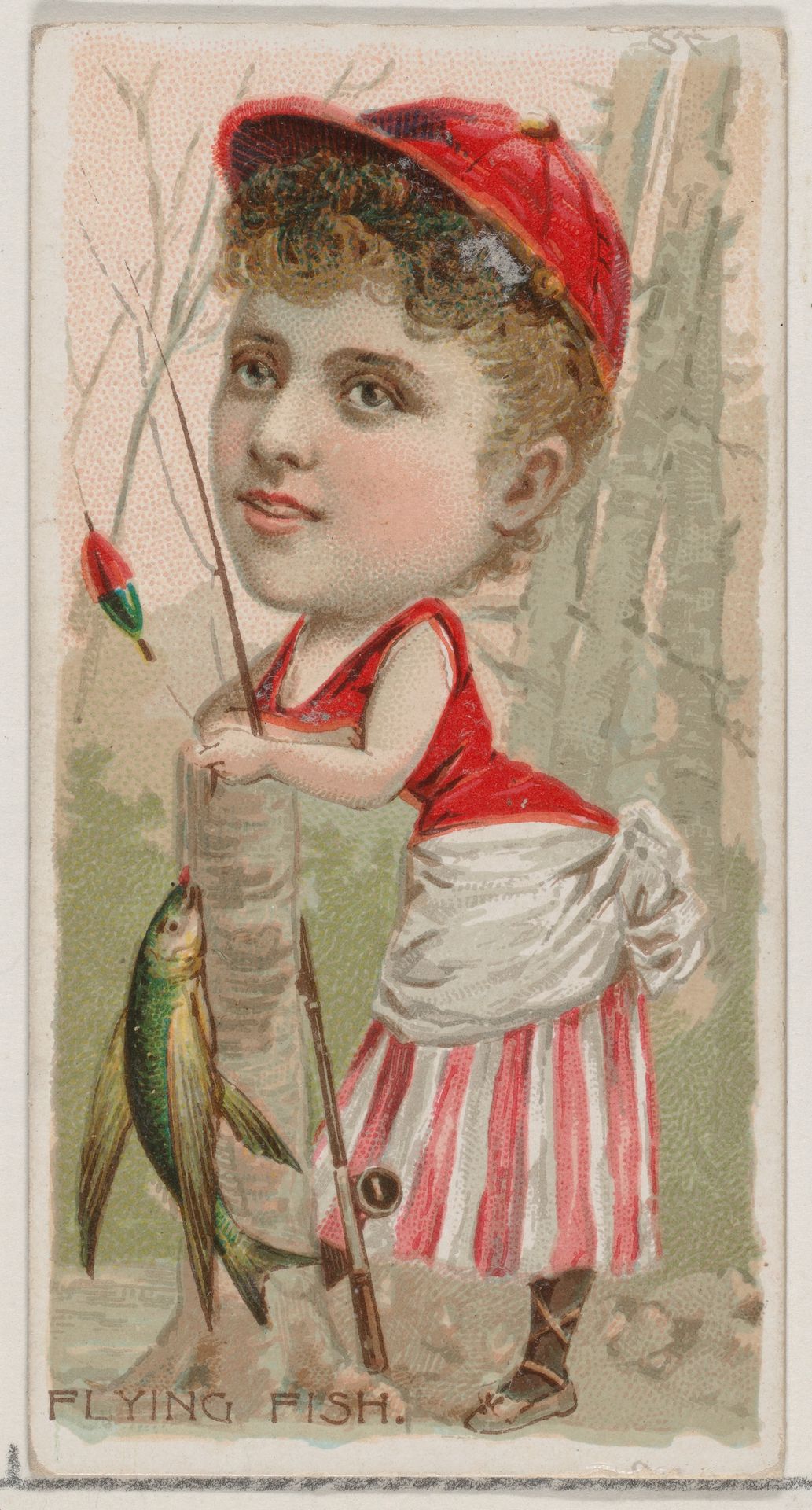 Flying Fish, from the series Fishers and Fish (N74) for Duke brand cigarettes by Knapp & Company