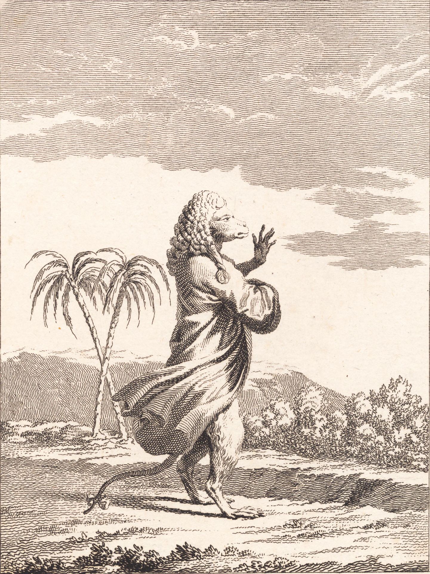 En martiniansk abekat by J.F. Clemens