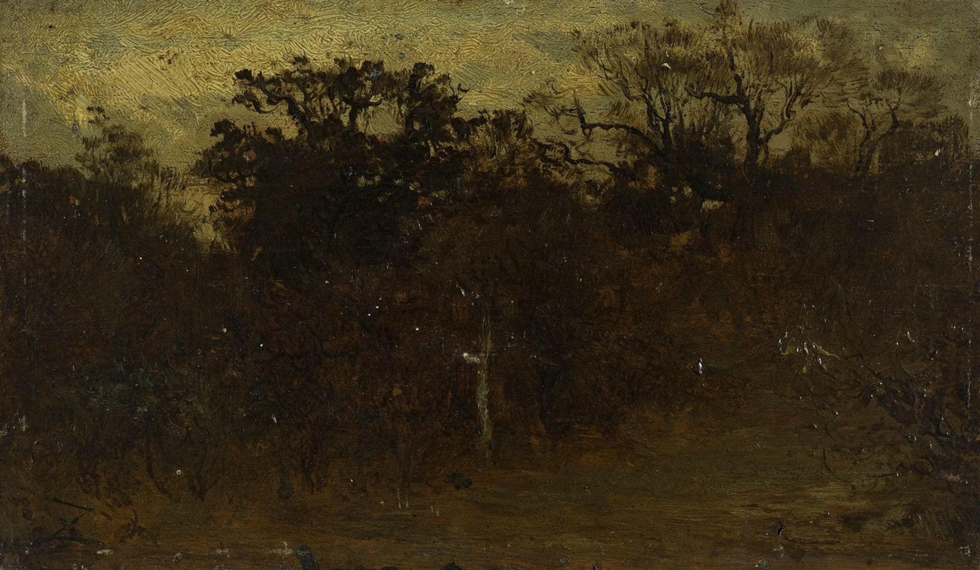 Coin de forêt by Félix Ziem
