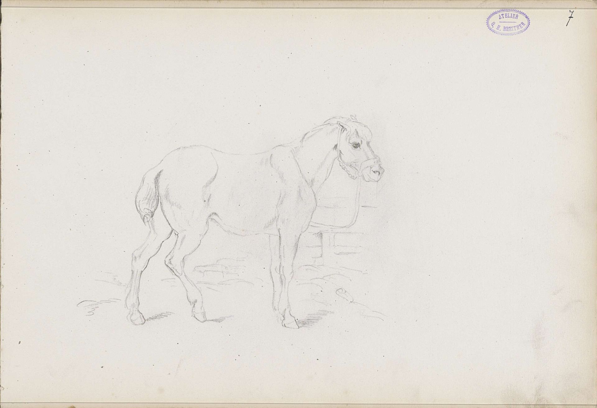 Staand paard met hoofdstel by George Hendrik Breitner