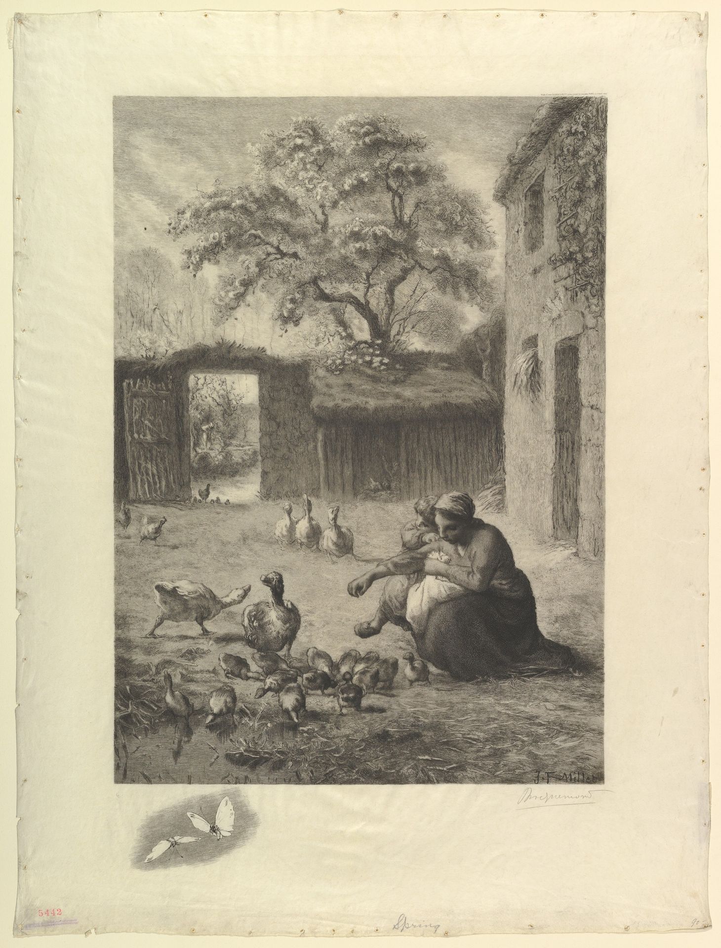 Le Printemps, d'après un pastel de Millet by Félix Bracquemond