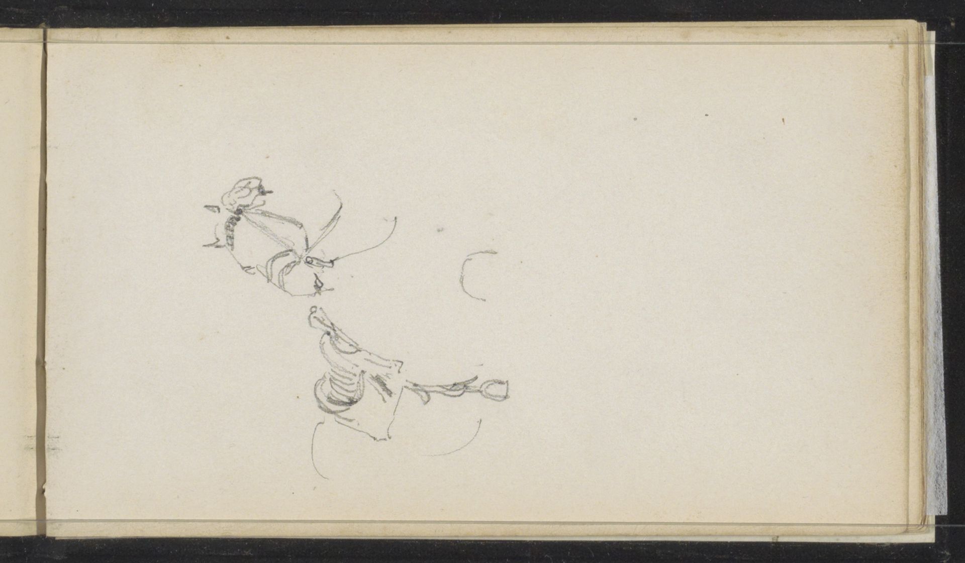Paard by Cornelis Springer