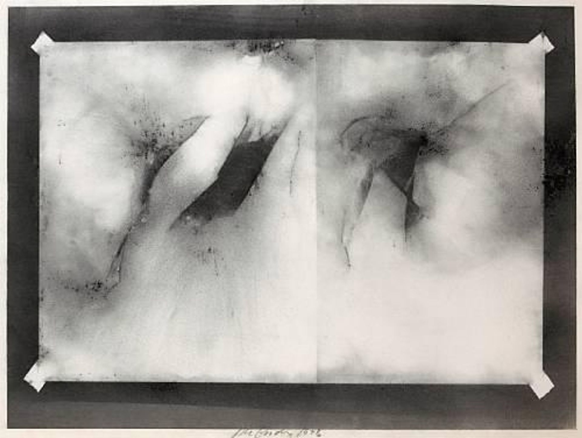 X-Ray Drawing 14 by Joe Goode