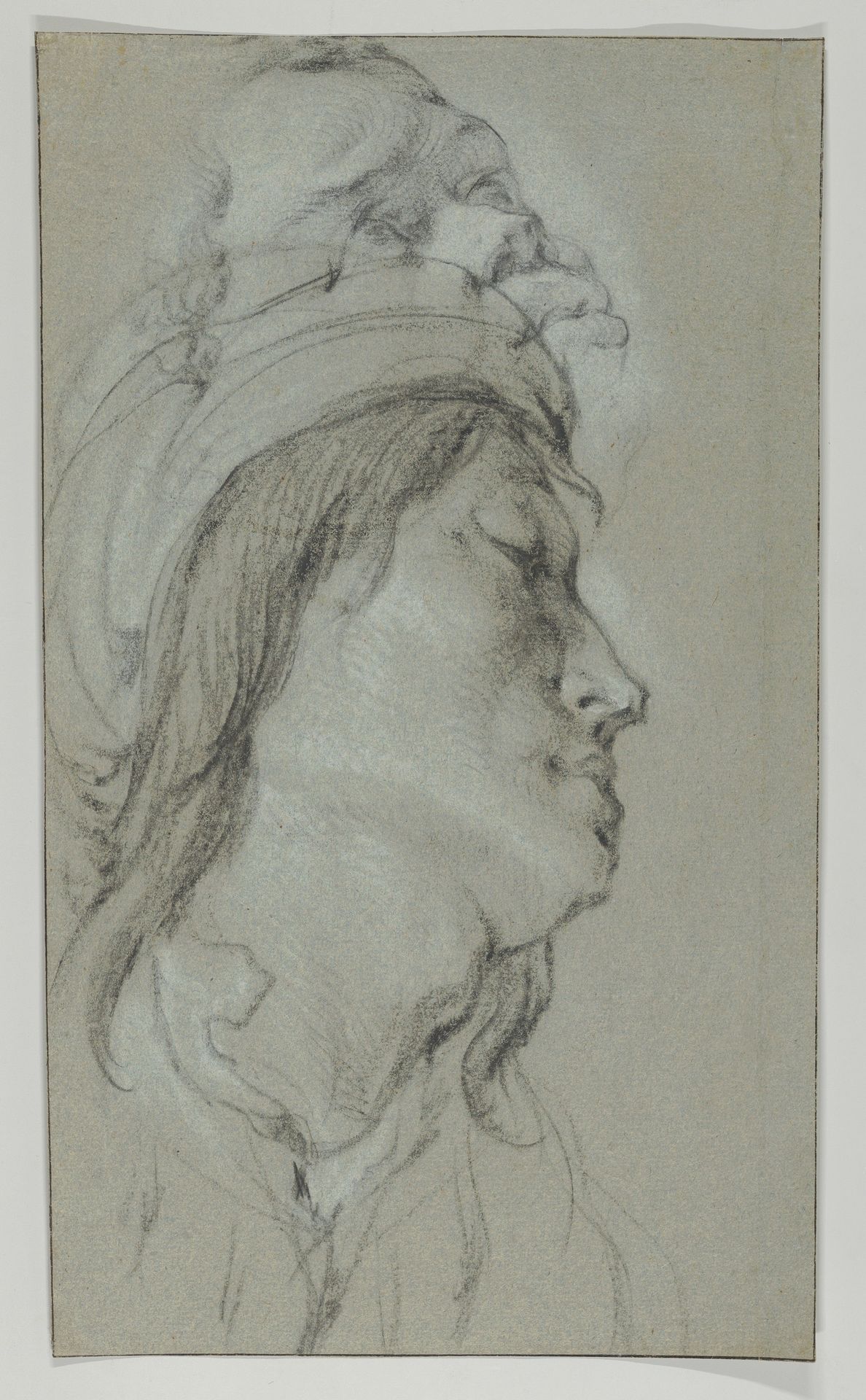 Head Studies of A Young Man Wearing a Hat and of a Black Man by Lucas Franchoys the Younger