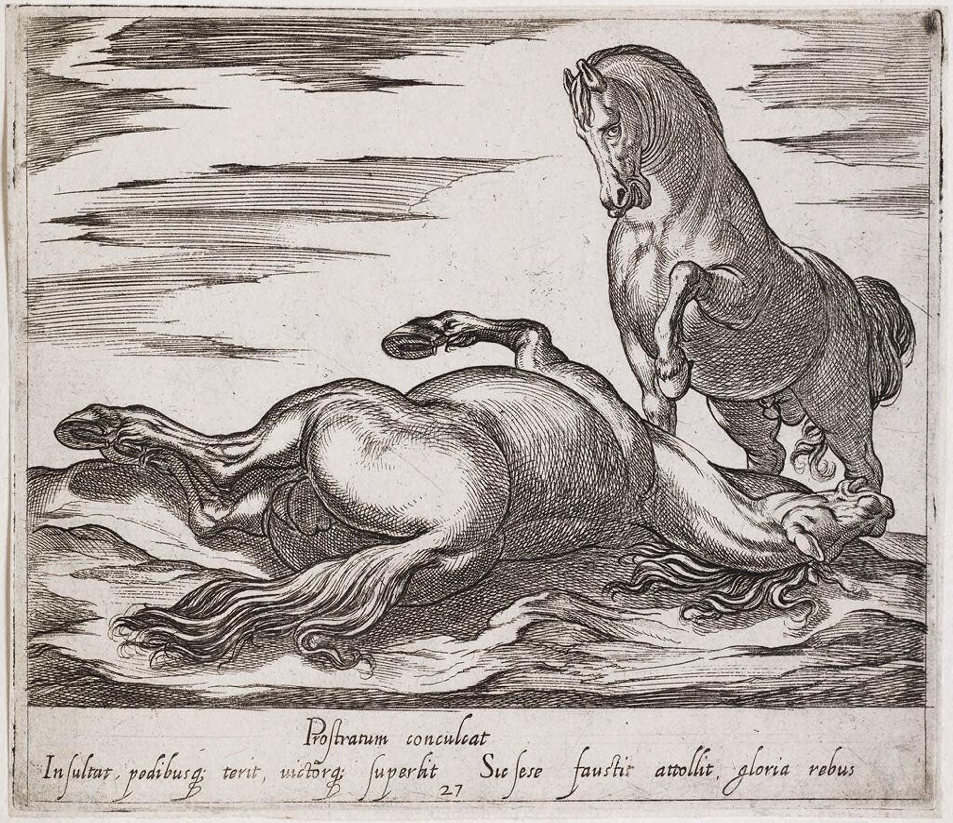 A Standing Horse Pawing Another Horse, Lying Dead by Antonio Tempesta