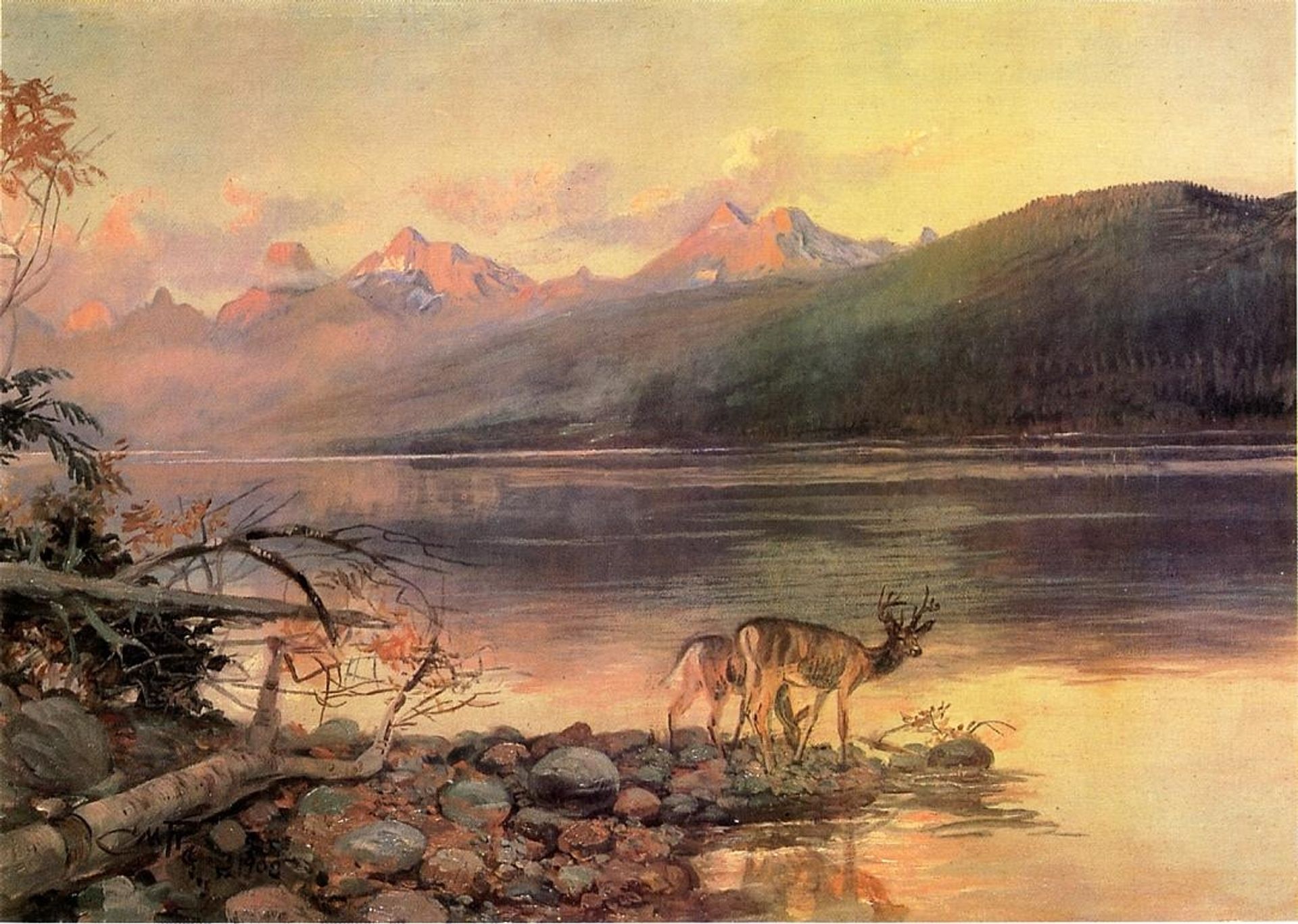 Deer at Lake McDonald by Charles M. Russell