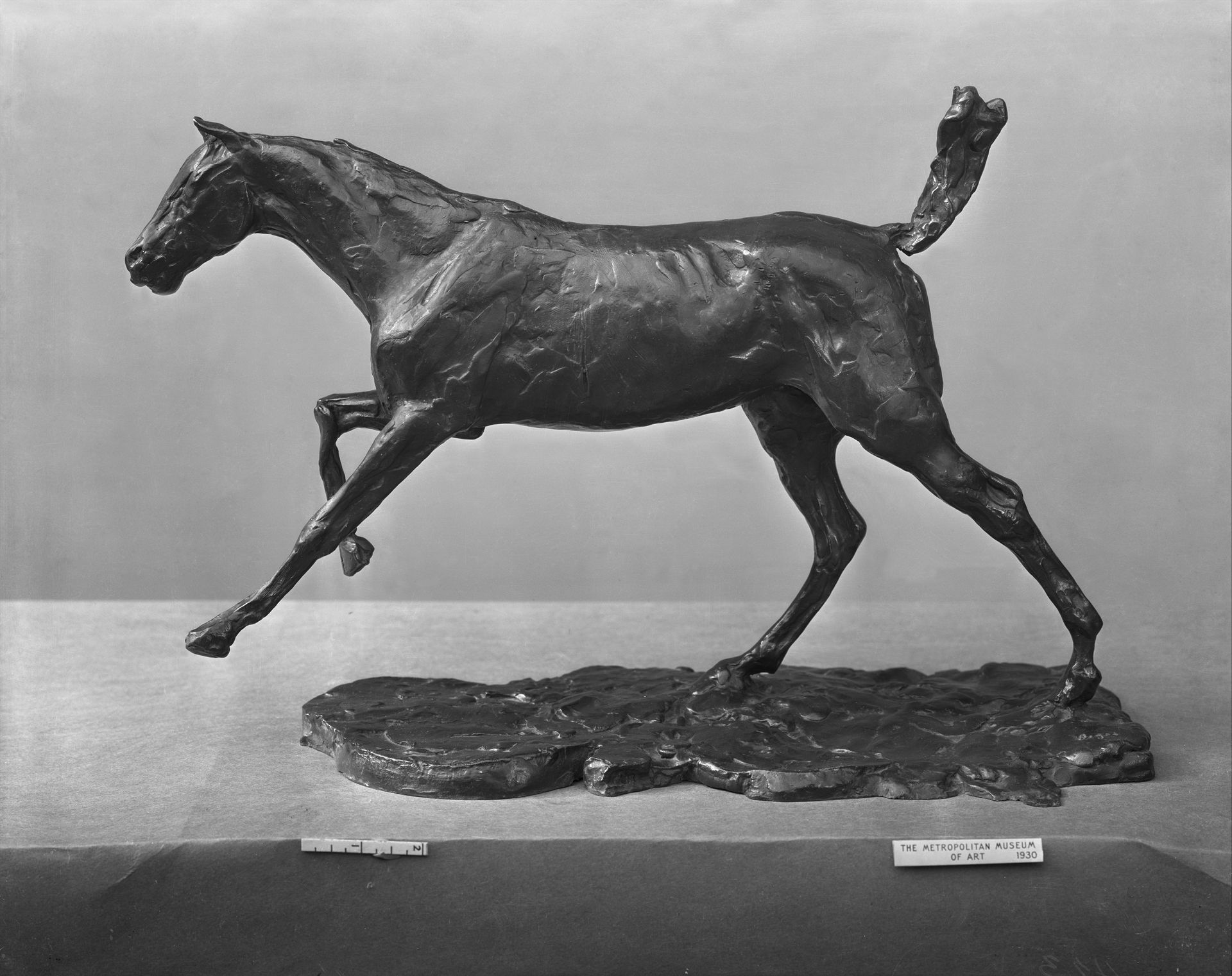 Horse Galloping on Right Foot by Edgar Degas