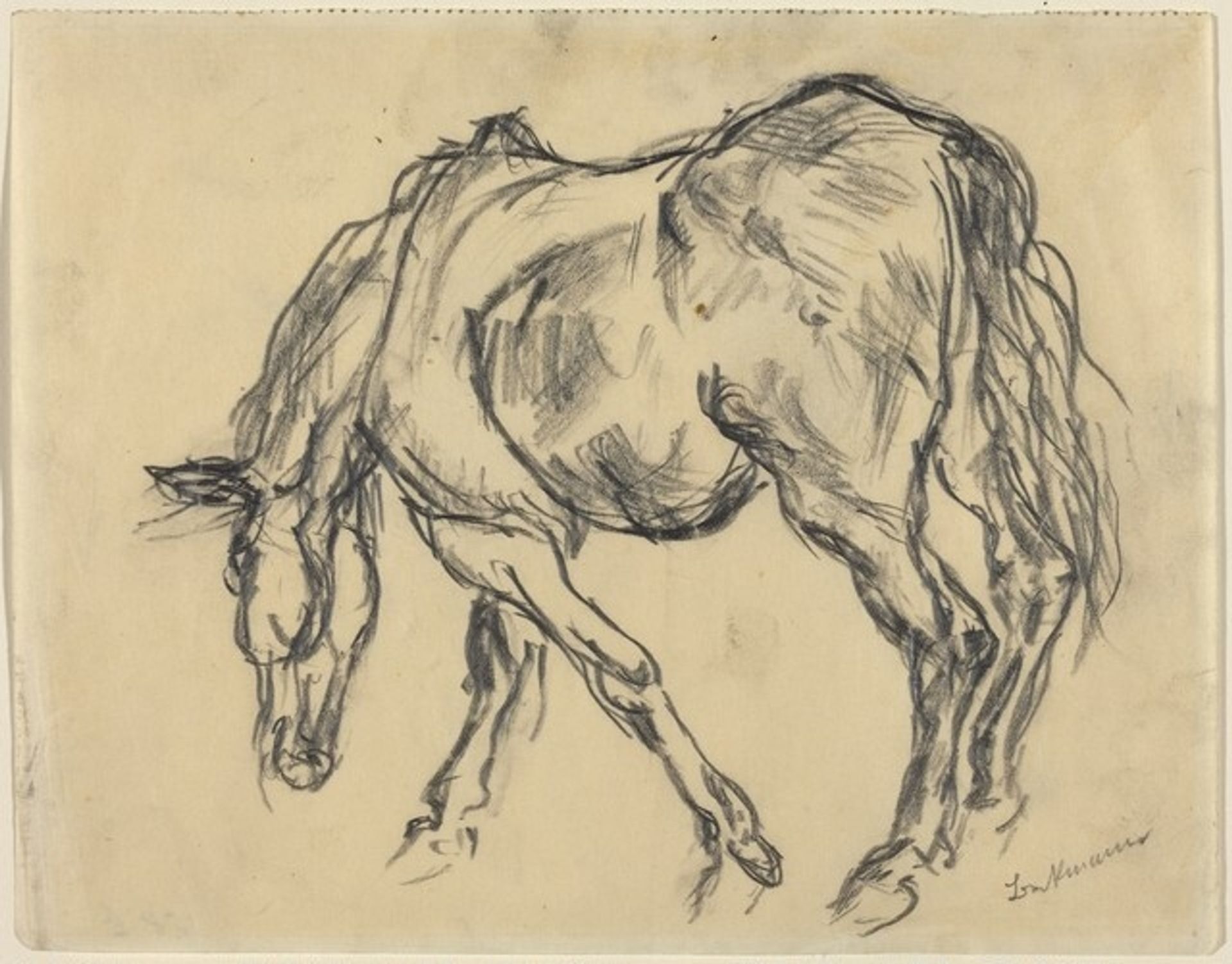 Horse by Max Beckmann