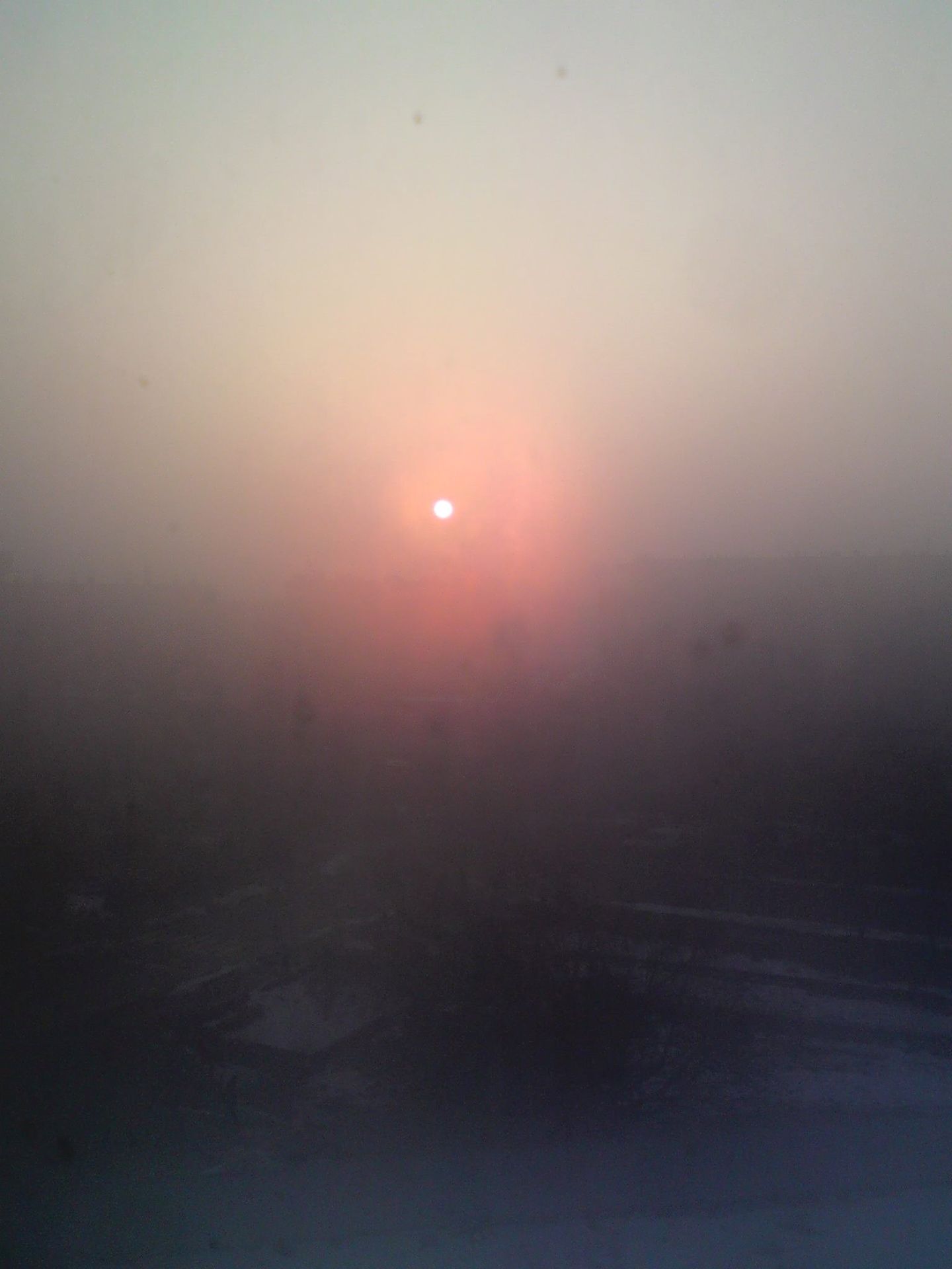 The rising sun by Alfred Freddy Krupa