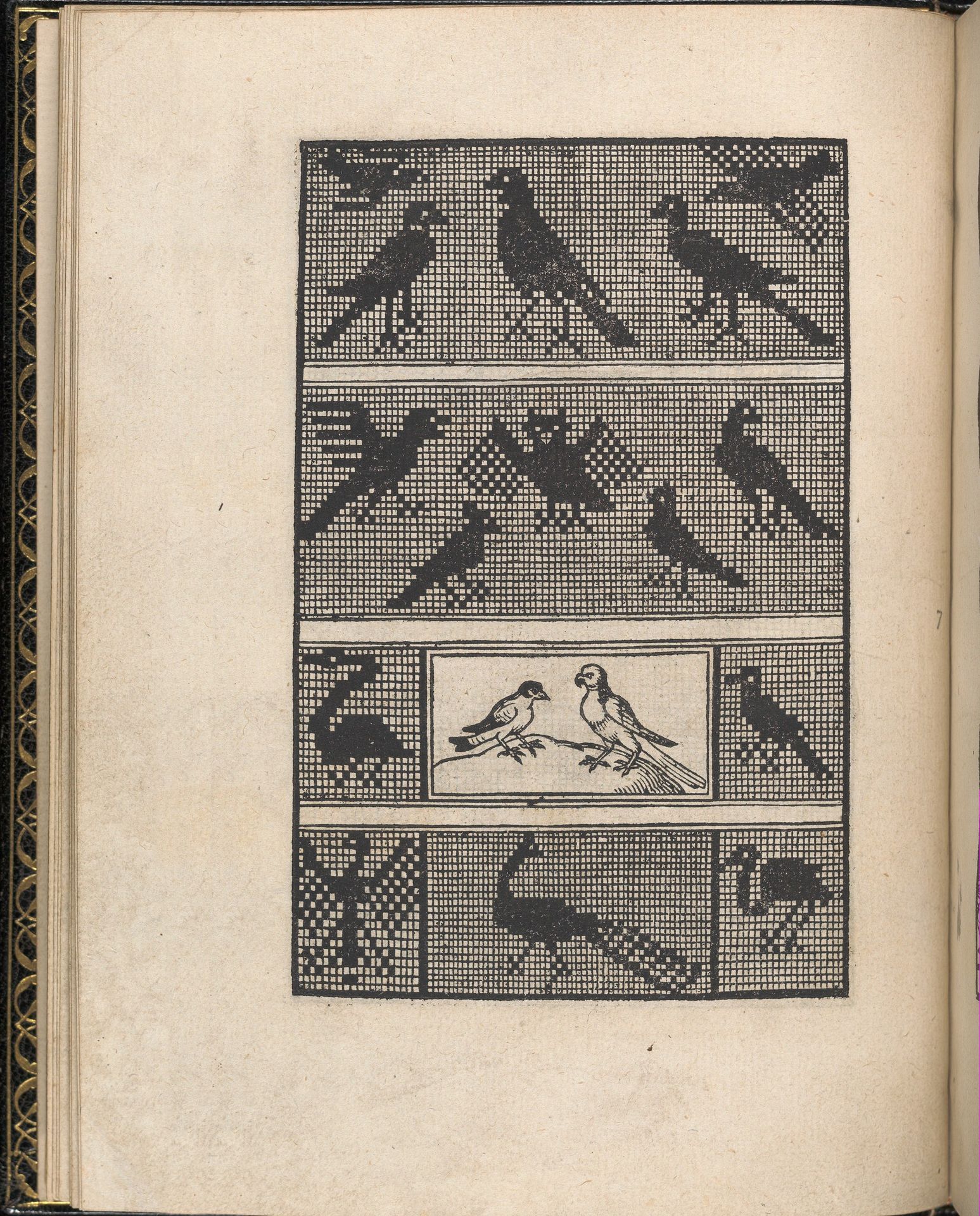 Page from Ein new kunstlich Modelbuch...(Page 7v) by Peter Quentel