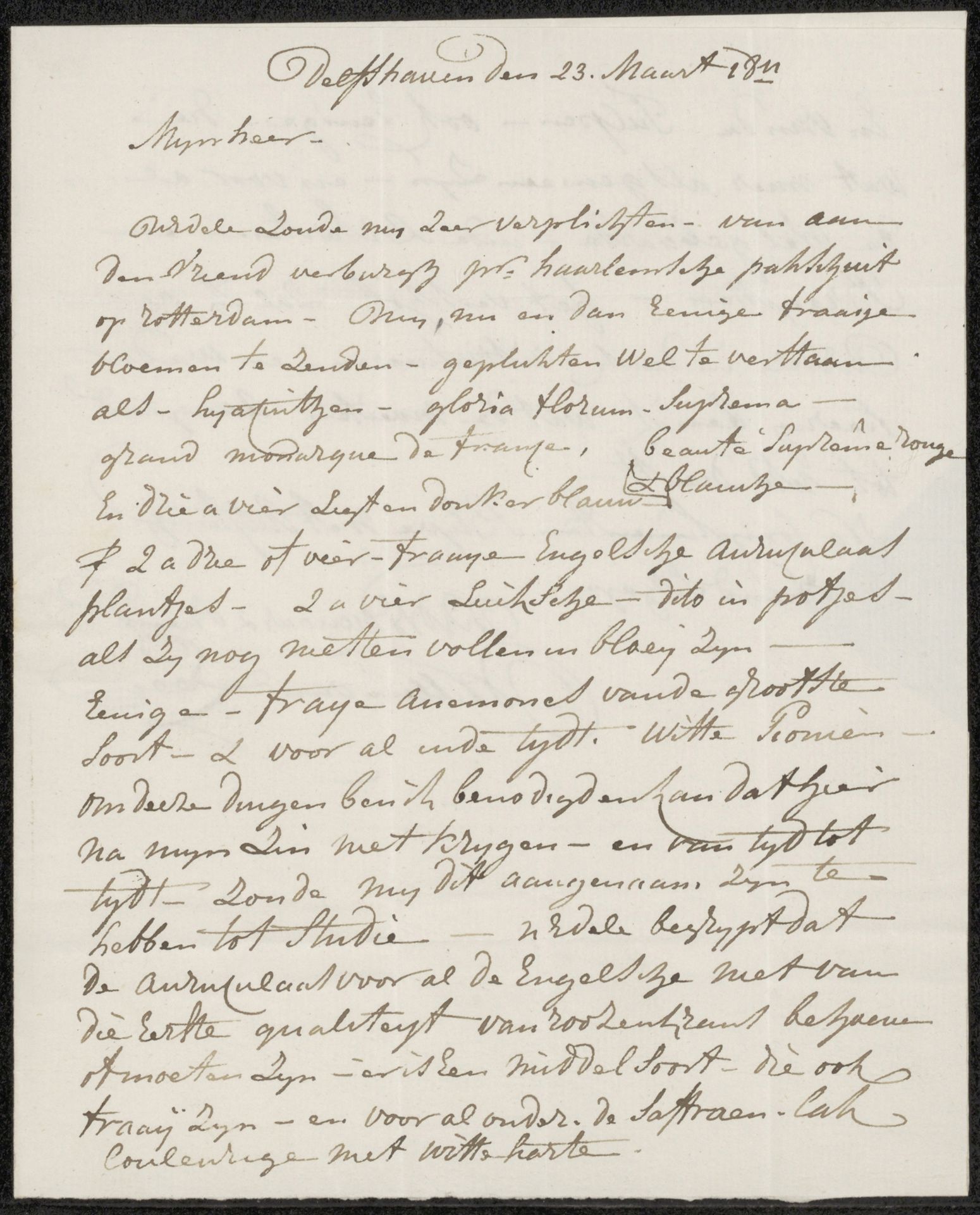 Brief aan Adriaan van der Willigen by Willem van Leen