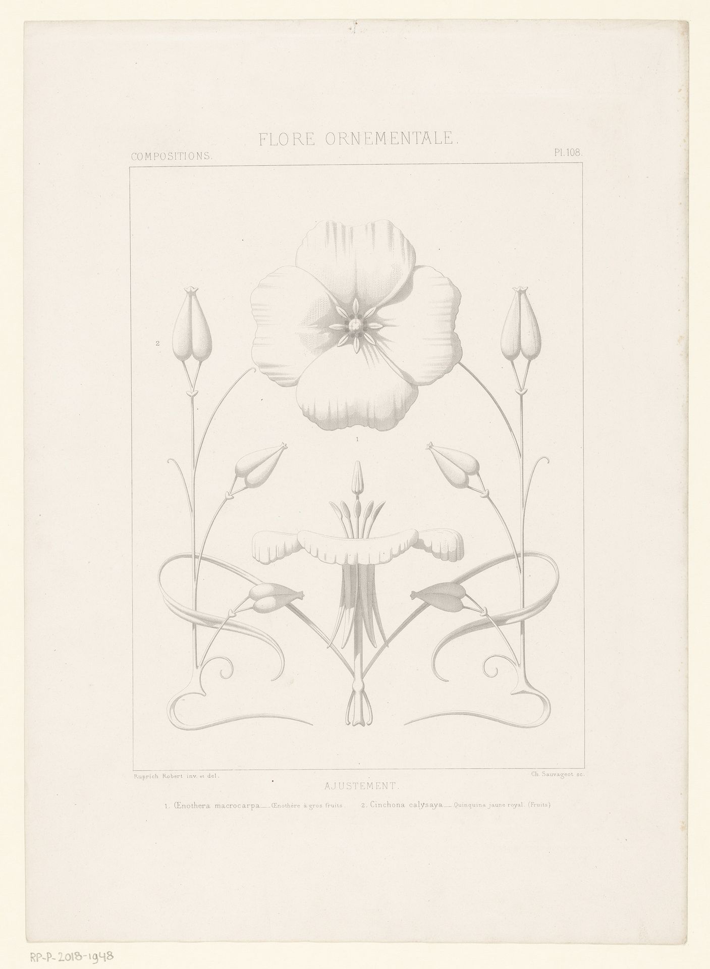 Studieblad met verschillende aanzichten van bloemen, waaronder de teunisbloem by Claude Sauvageot