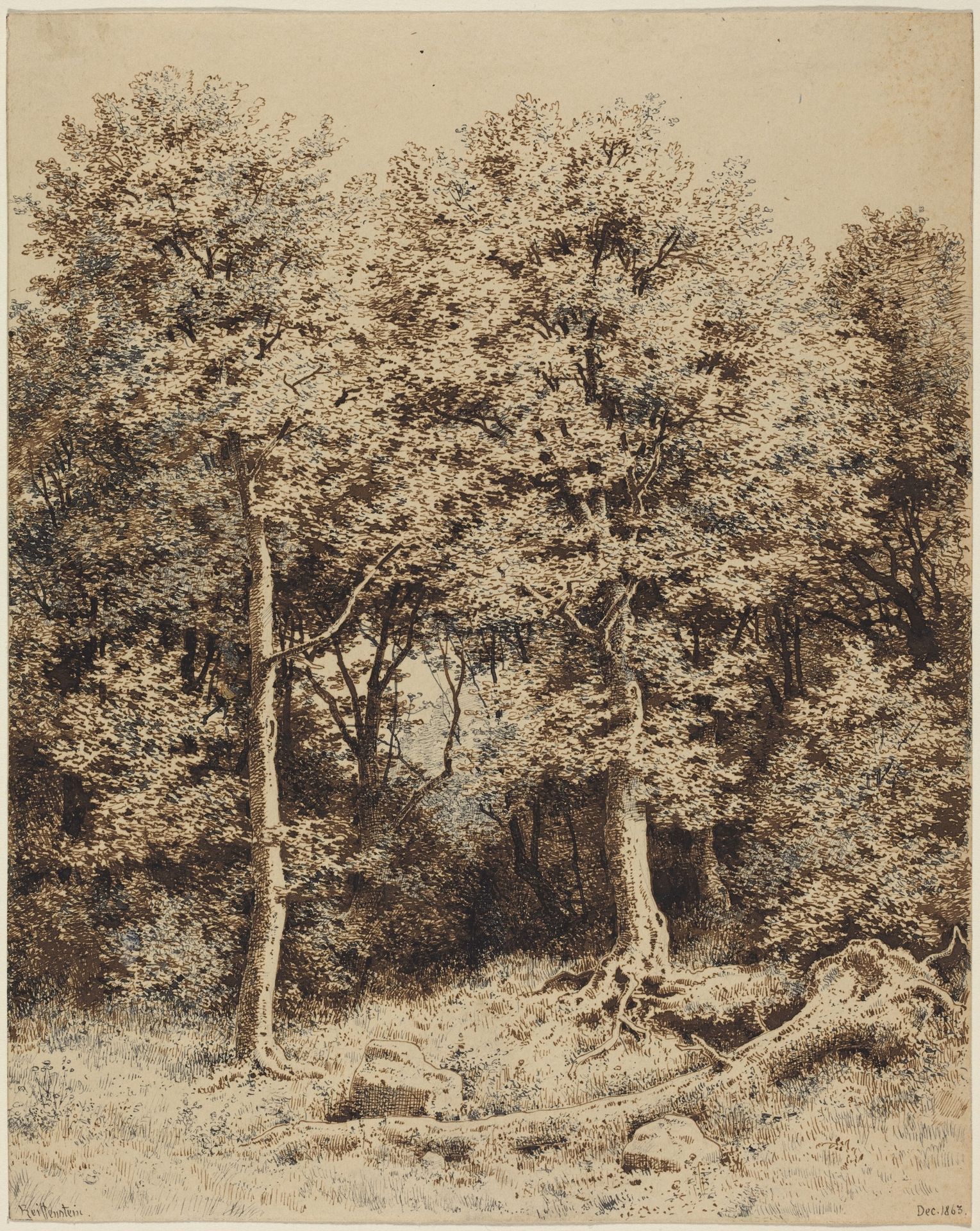 A Copse of Trees by Karl Theodor Reiffenstein