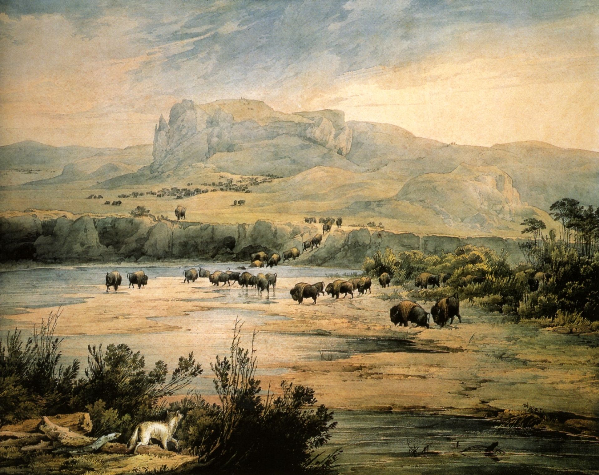 Landscape with buffalo on the upper Missouri by Karl Bodmer