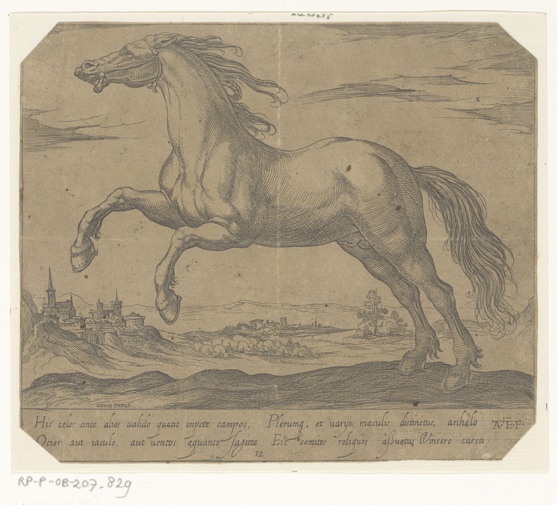 Een paard naar links galopperend by Antonio Tempesta