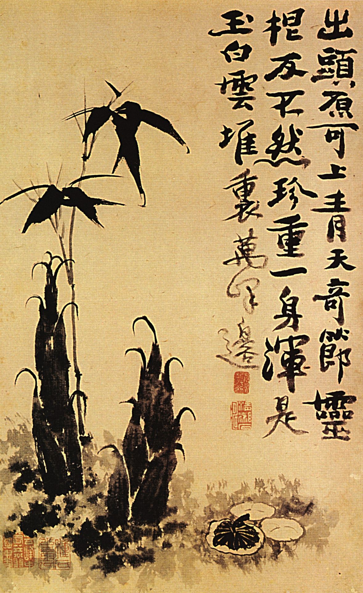 Bamboo shoots by Shitao