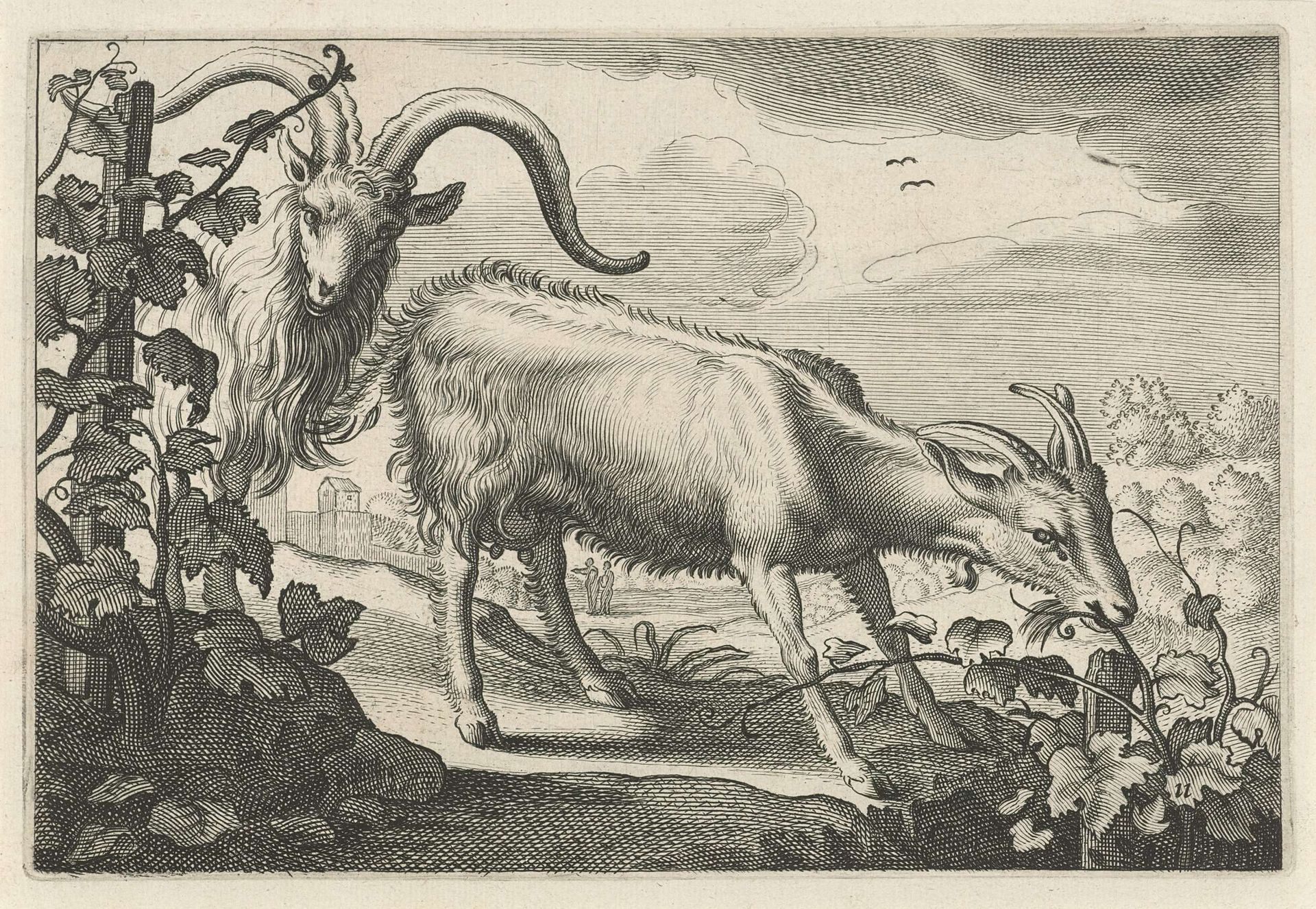 Twee geiten in een wijngaard by Reinier van Persijn