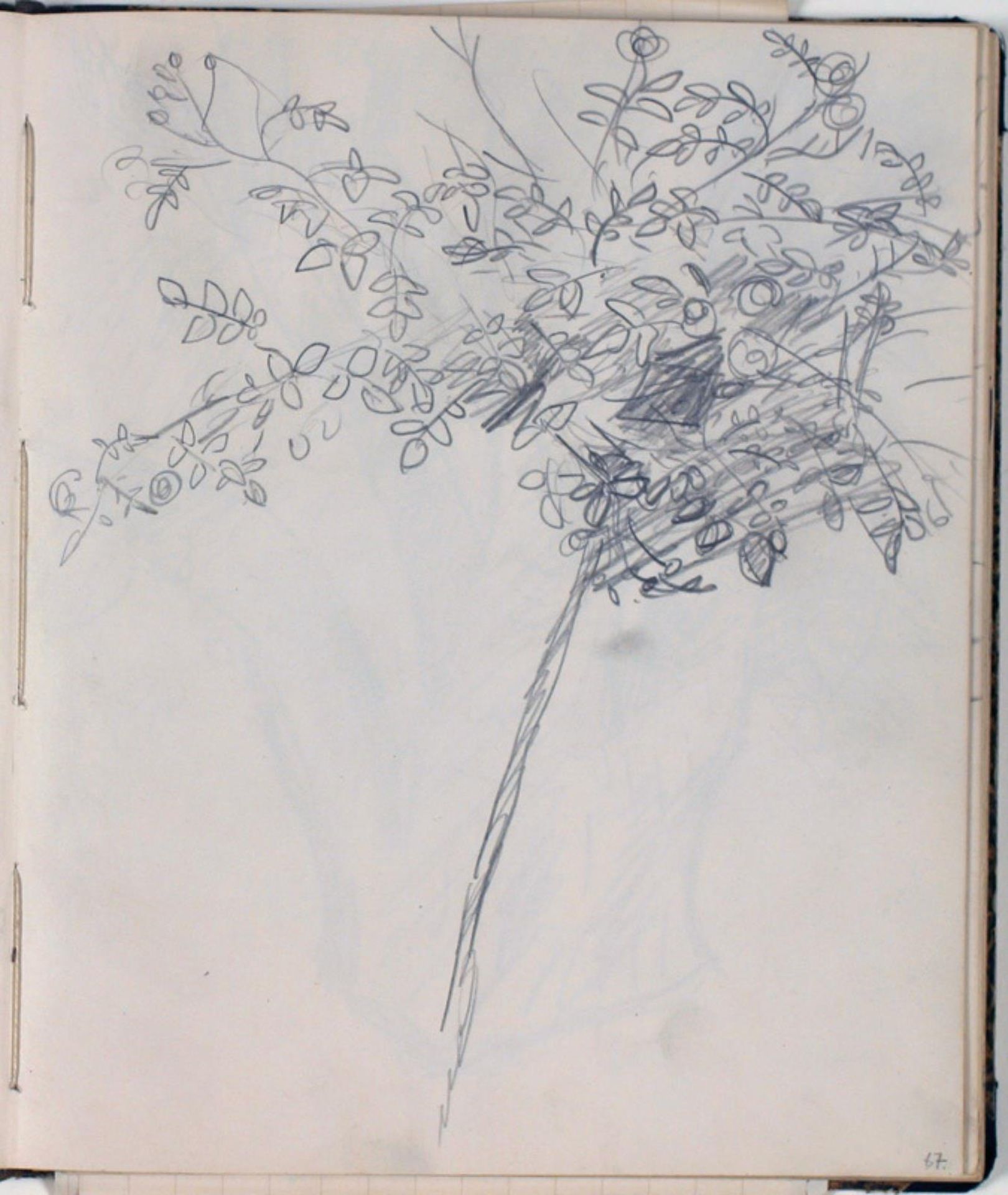 Plantestudie by Niels Larsen Stevns