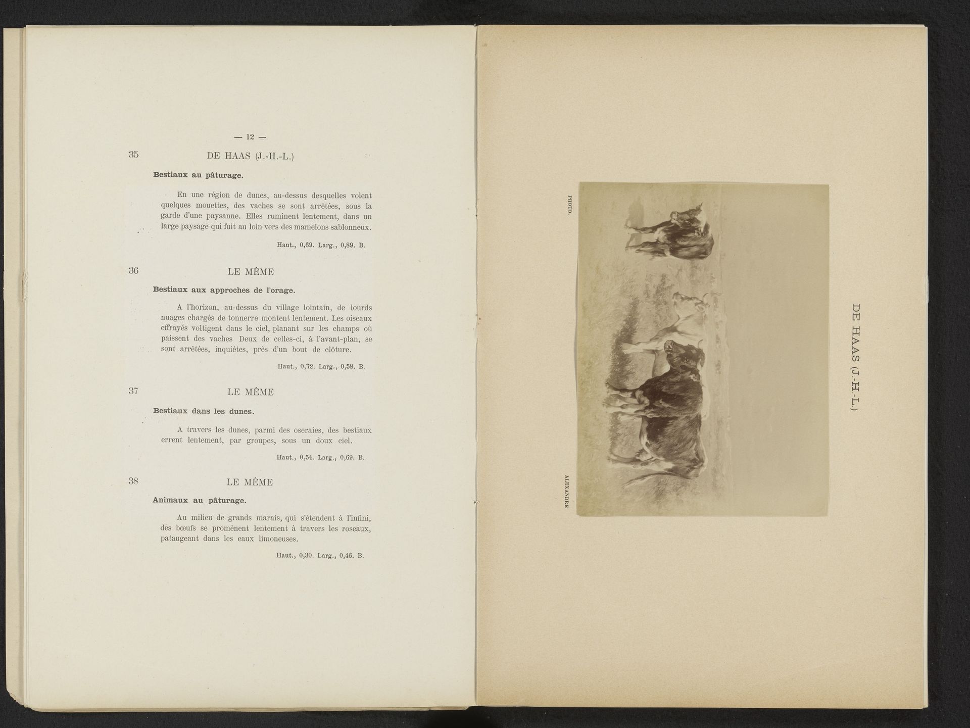 Fotoreproductie van Bestiaux au pâturage door Johannes Hubertus Leonardus de Haas by Alexandre (fotograaf)