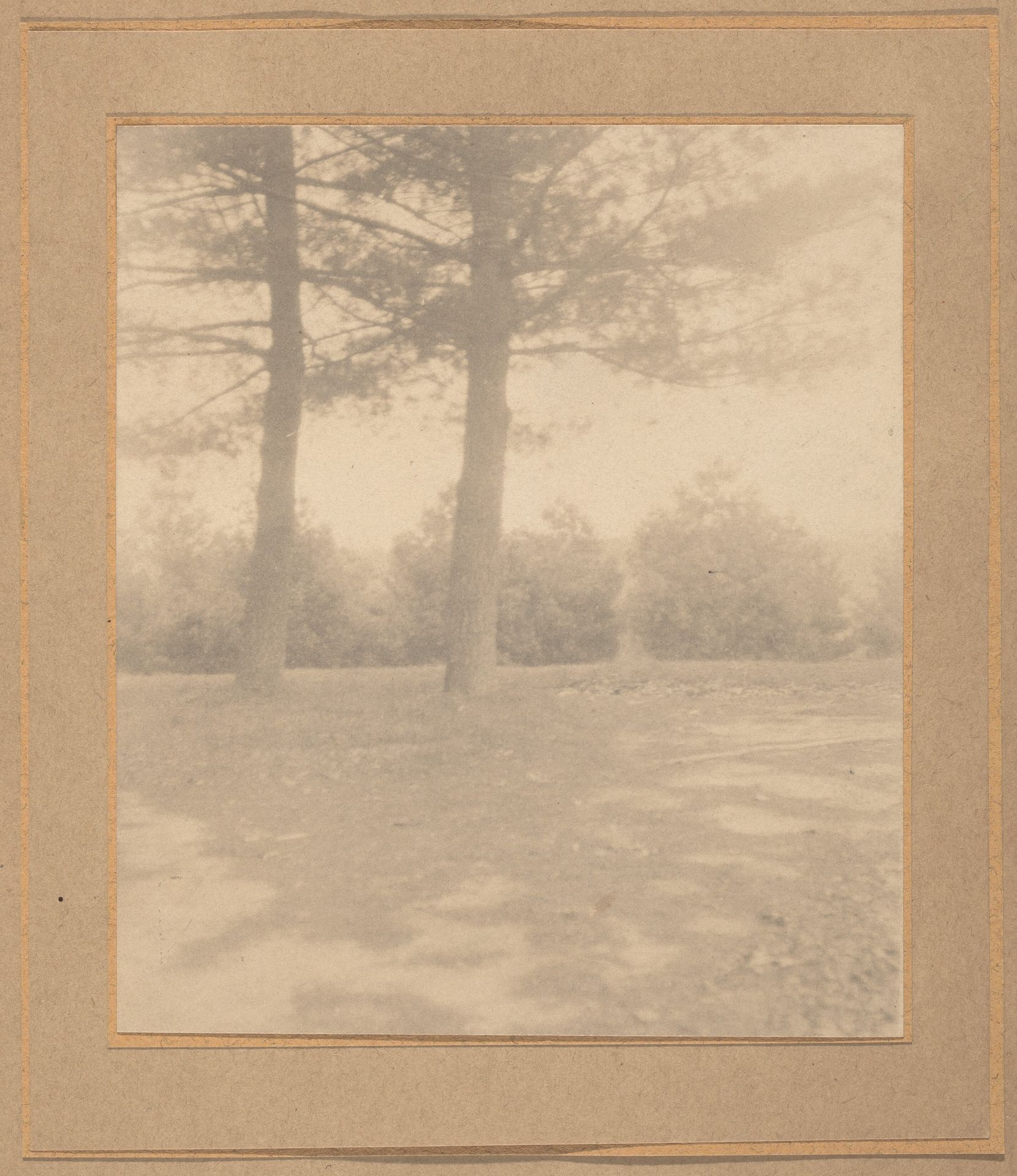 Landscape with trees by Joseph T. Keiley