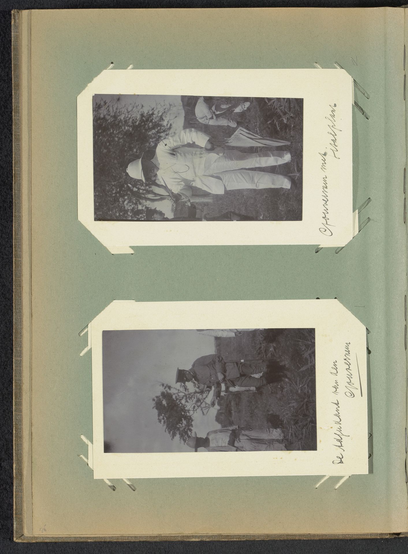 Gouverneur met sisalplant by Anonymous