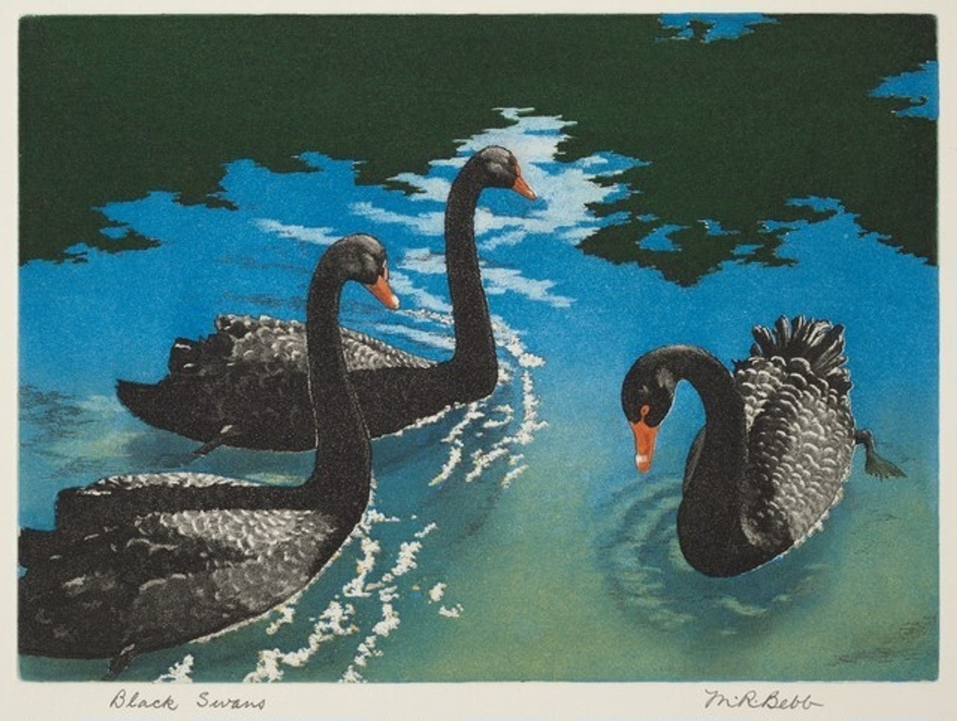 Black Swans by Maurice R. Bebb