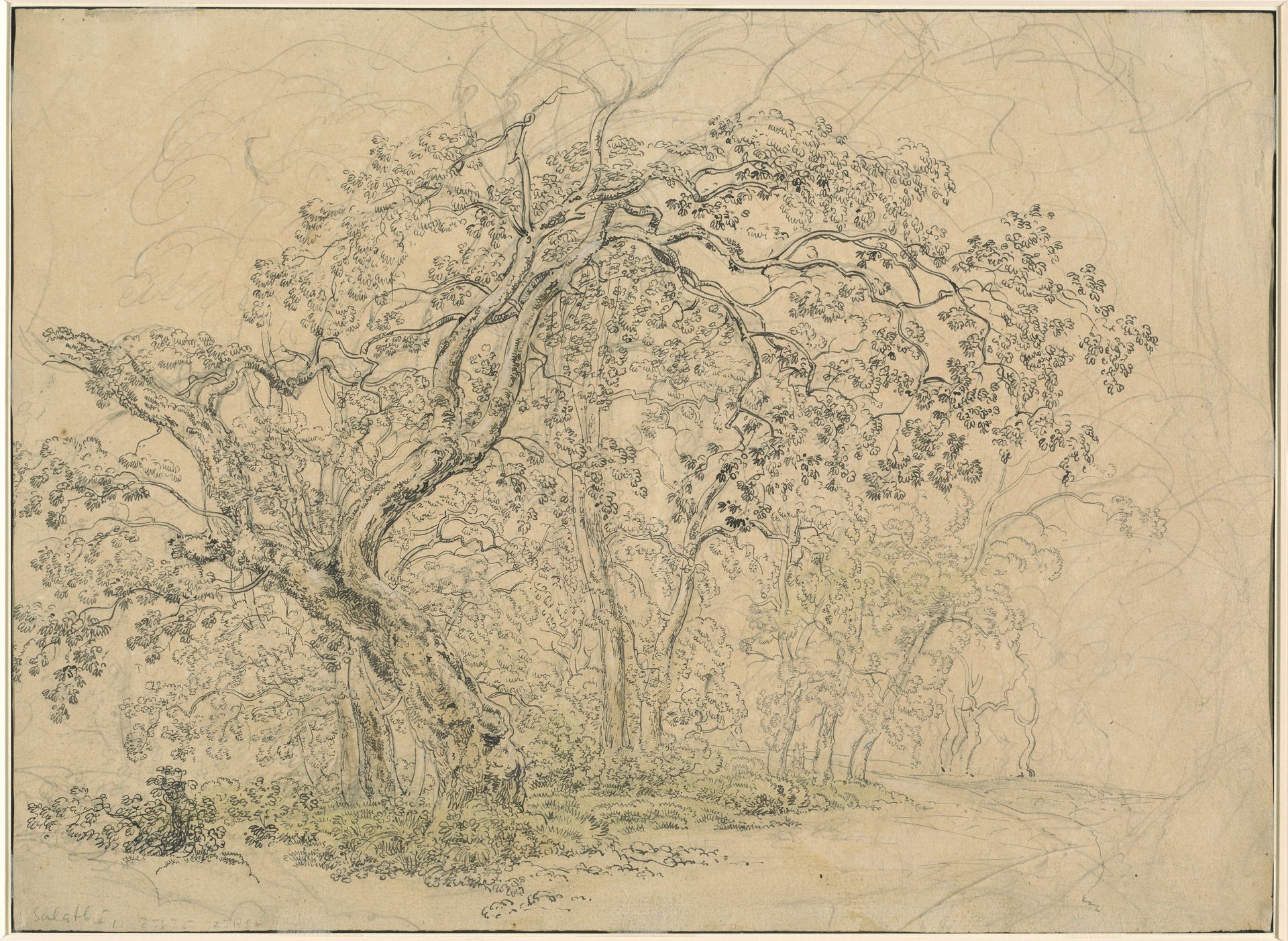 Grove of Trees [verso] by Friedrich Salathé
