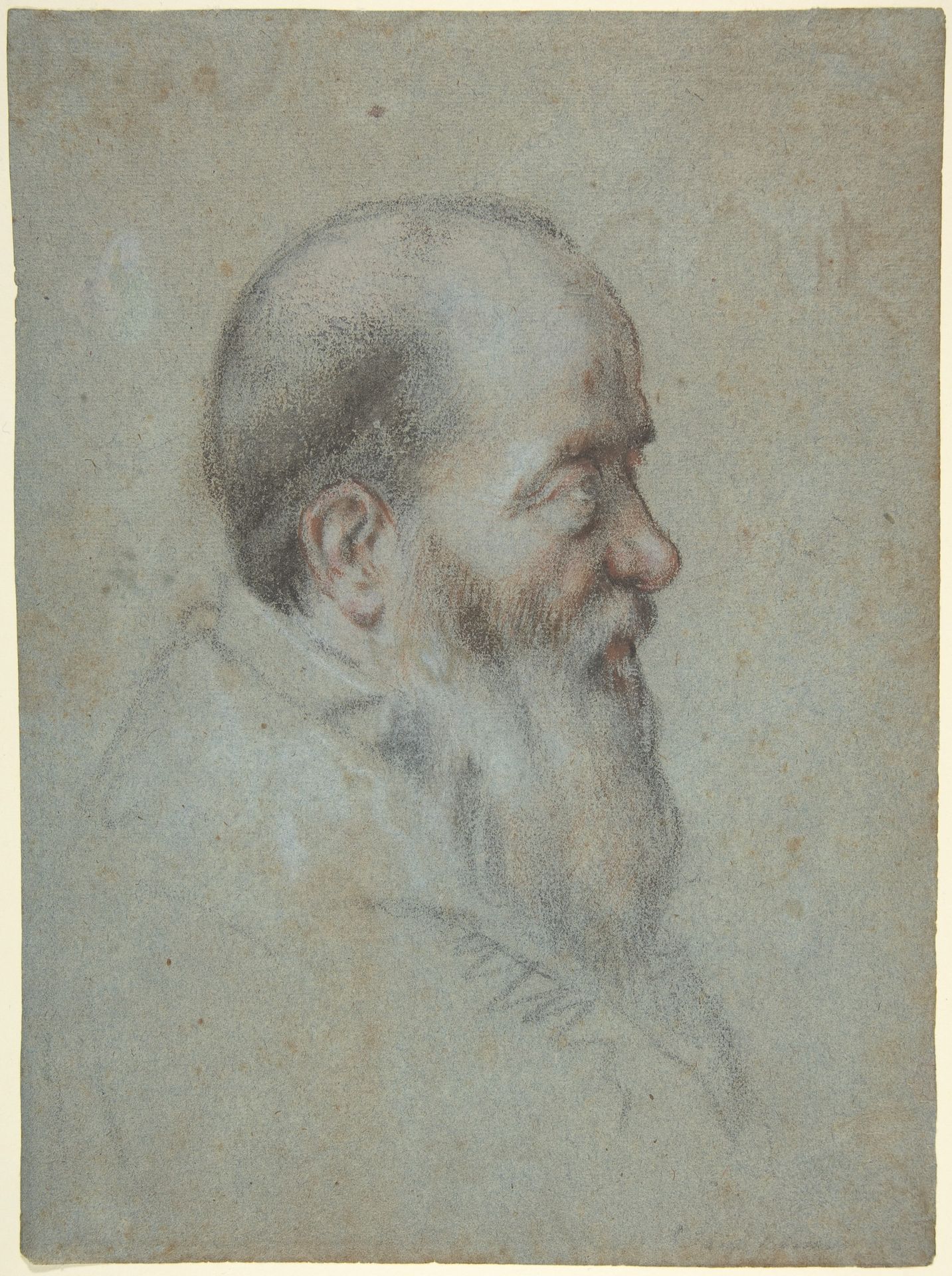 Bust of a Bearded Old Man, Profile to Right by Carletto Caliari