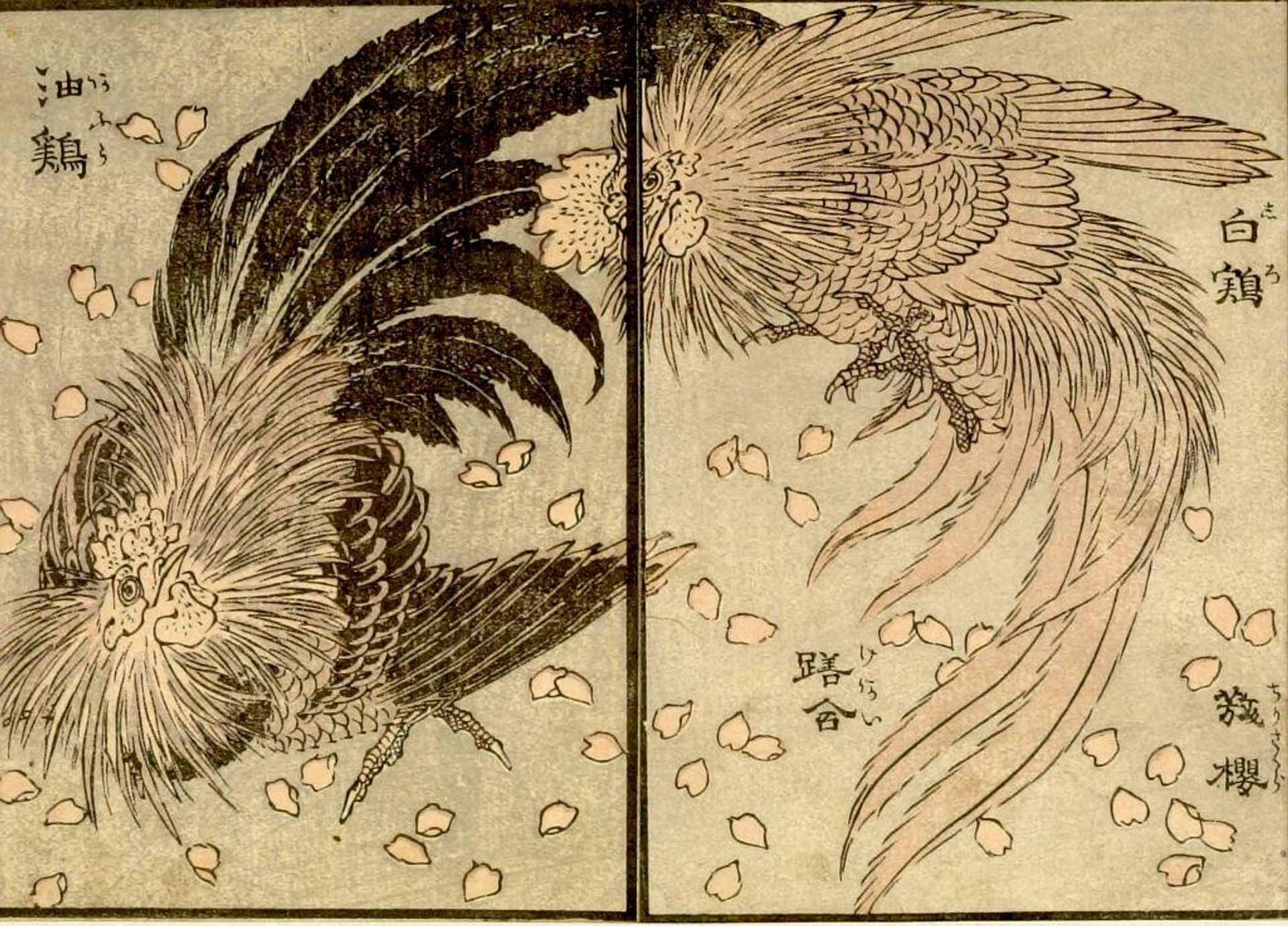 from the illustrated book "KachÅ gaden" by Katsushika Taito II äºä»£èé£¾æ´æ
