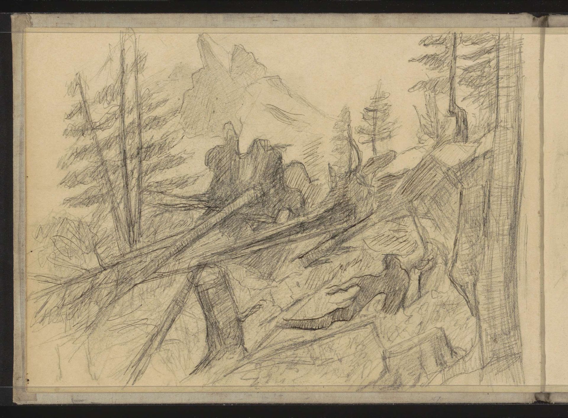 Landschap met rotsen, sparren en boomstammen by Jozef Israëls