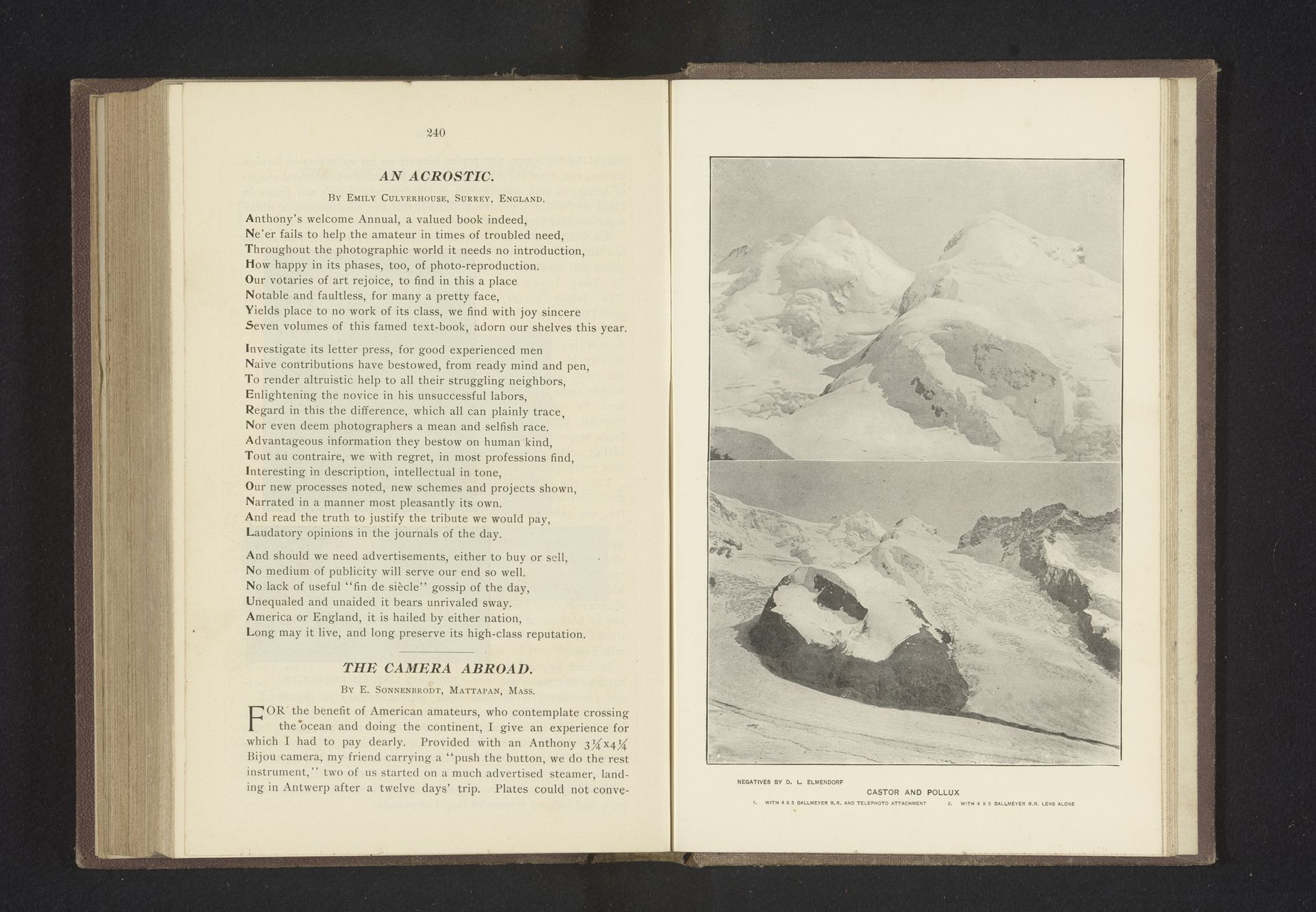Castor and Pollux by Dwight Lathrop Elmendorf