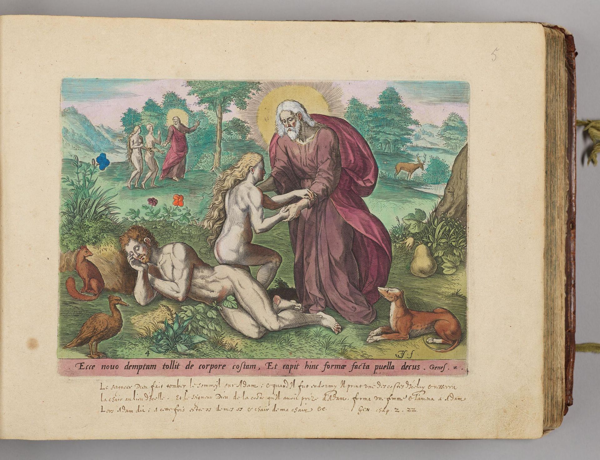 The Creation of Eve by Johann Sadeler I