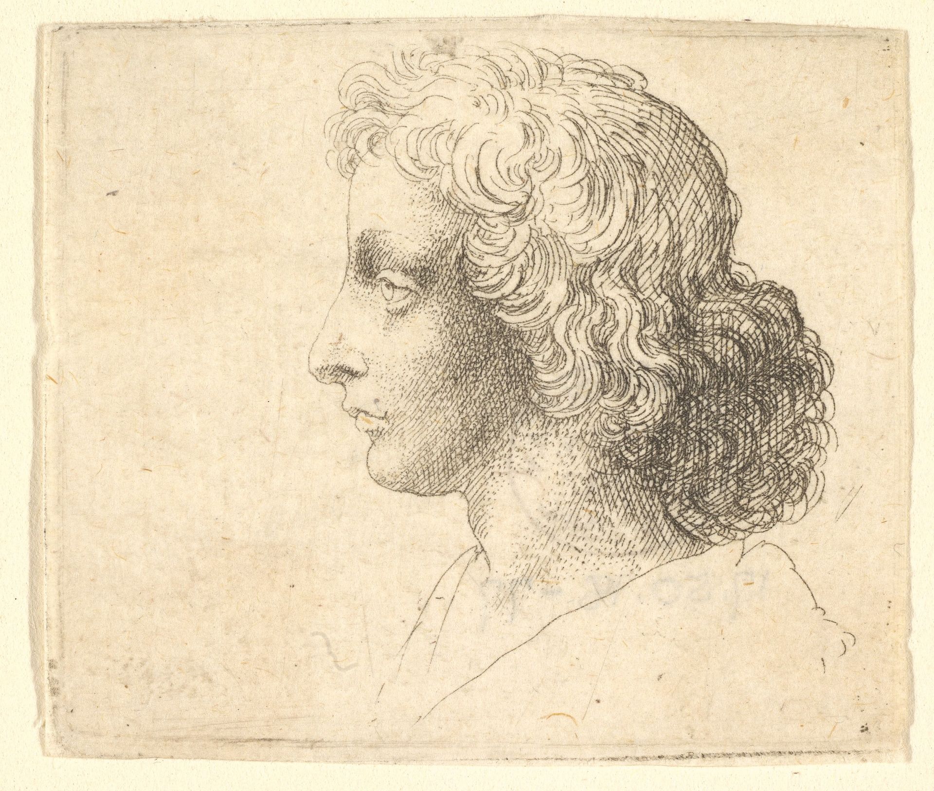 Head of young man with long hair in profile to the left by Wenceslaus Hollar
