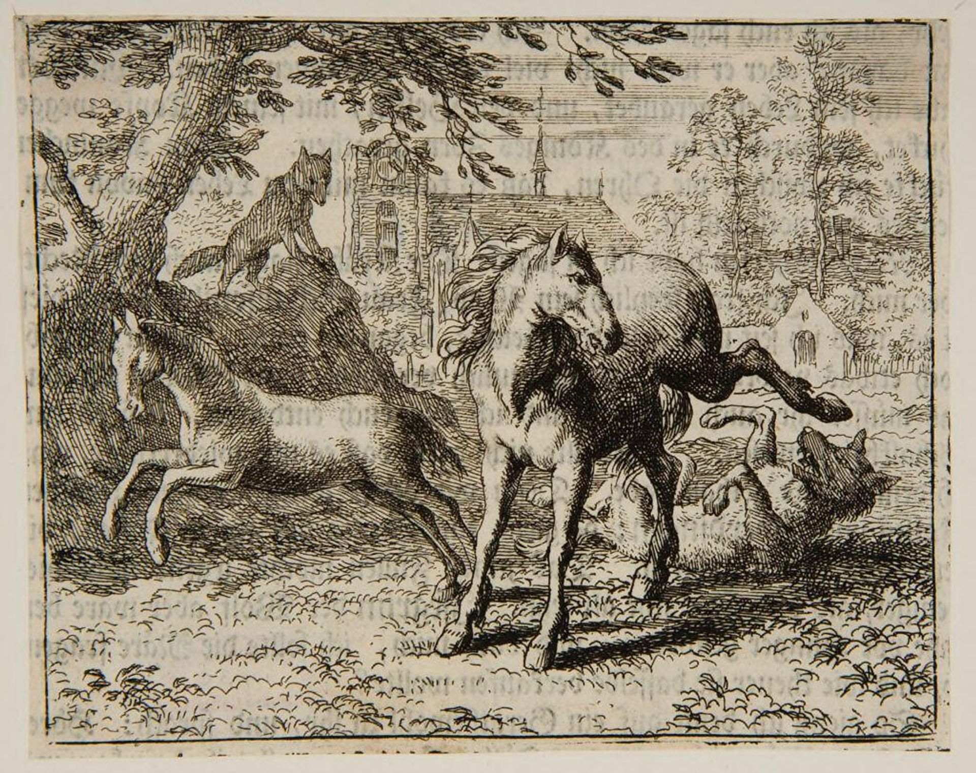 Horses fend off wolf attack by Allart van Everdingen