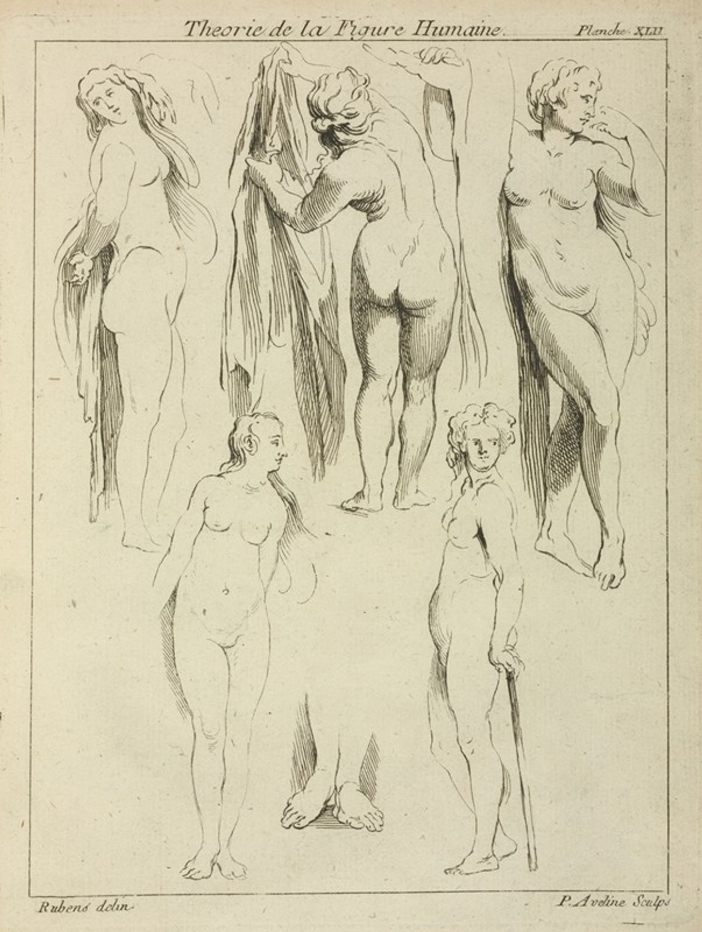 Studies of standing female nudes and a pair of feet by Peter Paul Rubens