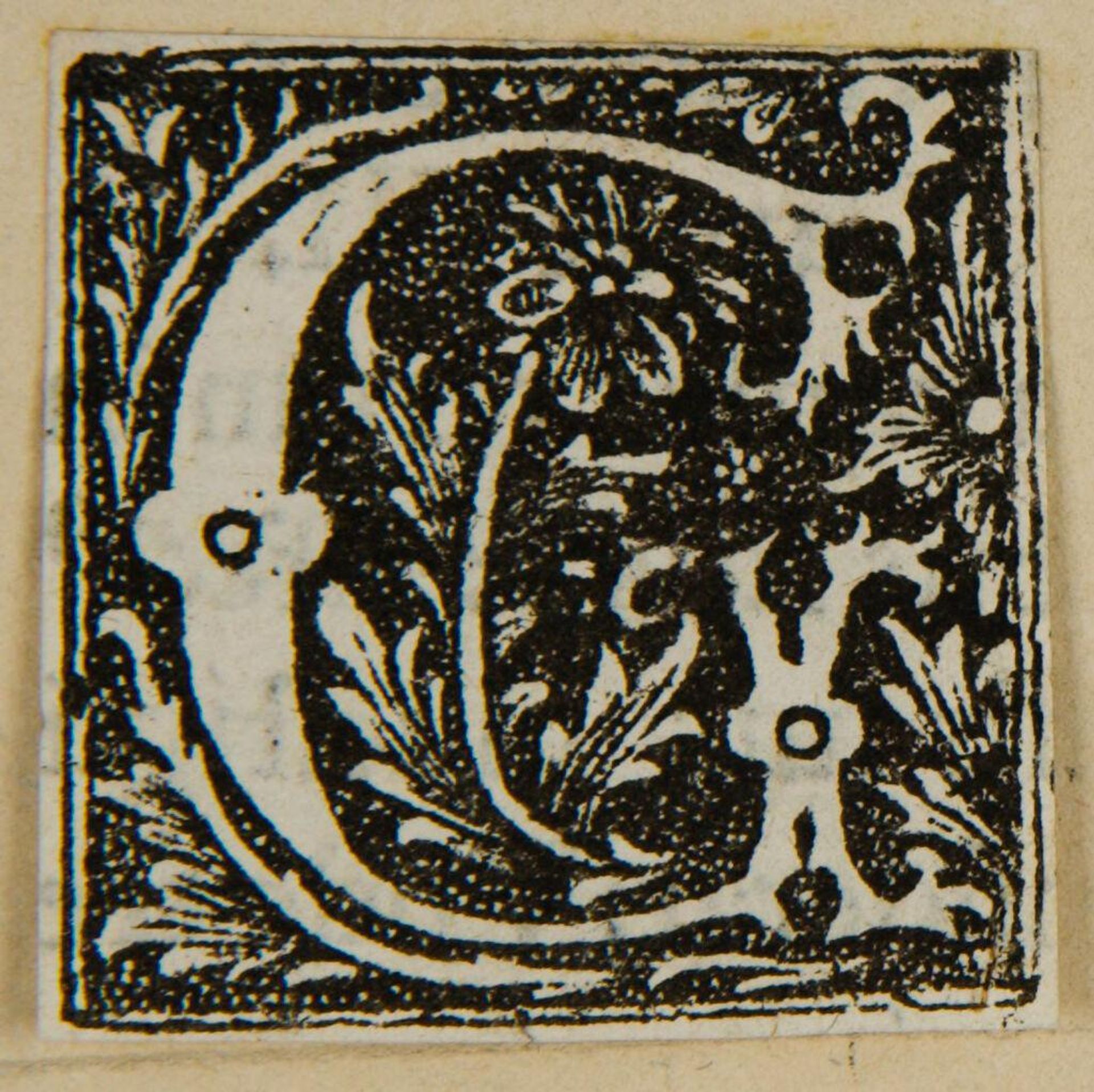 Capital Letter VI by Anonymous