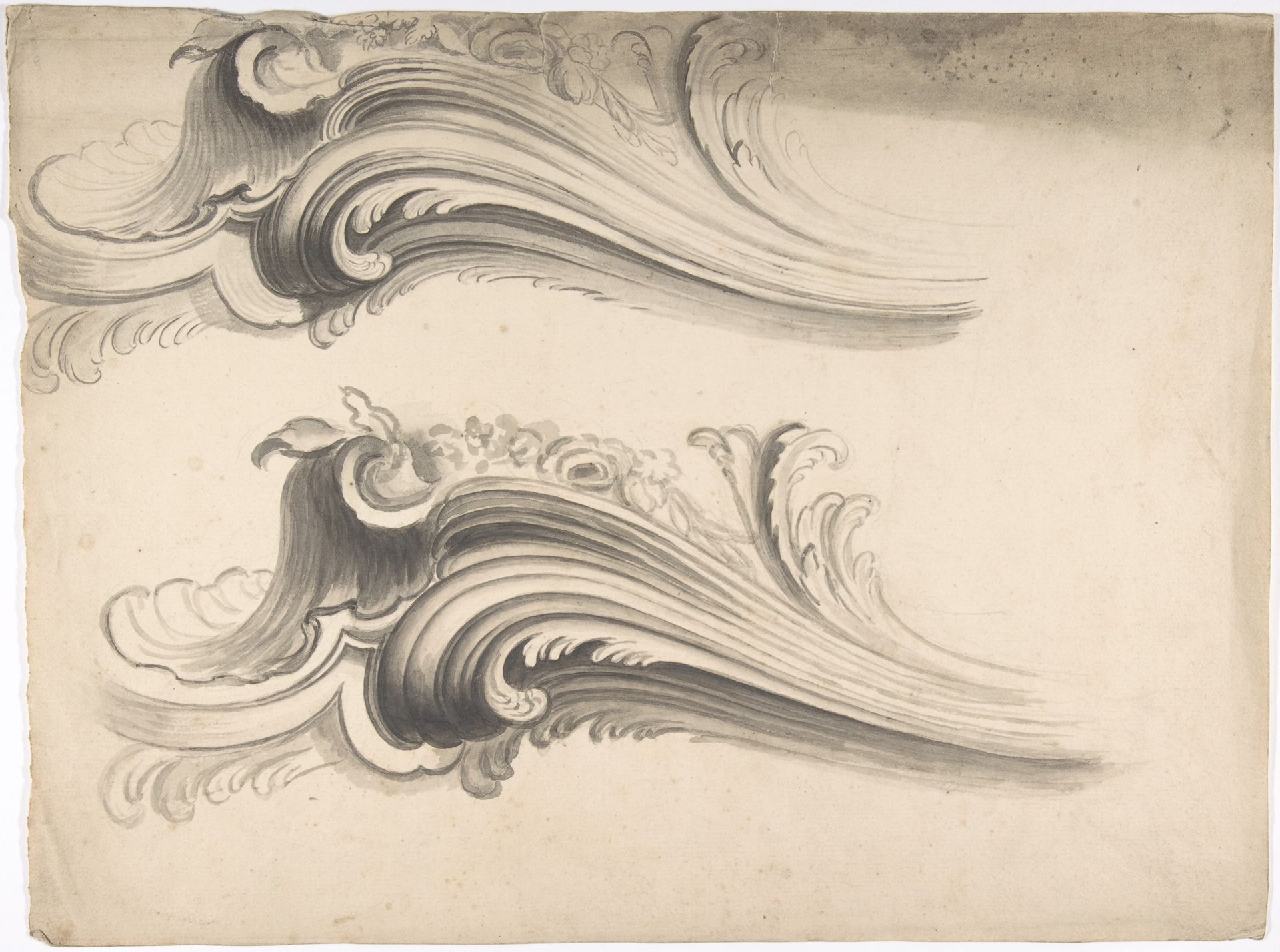Designs for Foliate Ornament by Anonymous