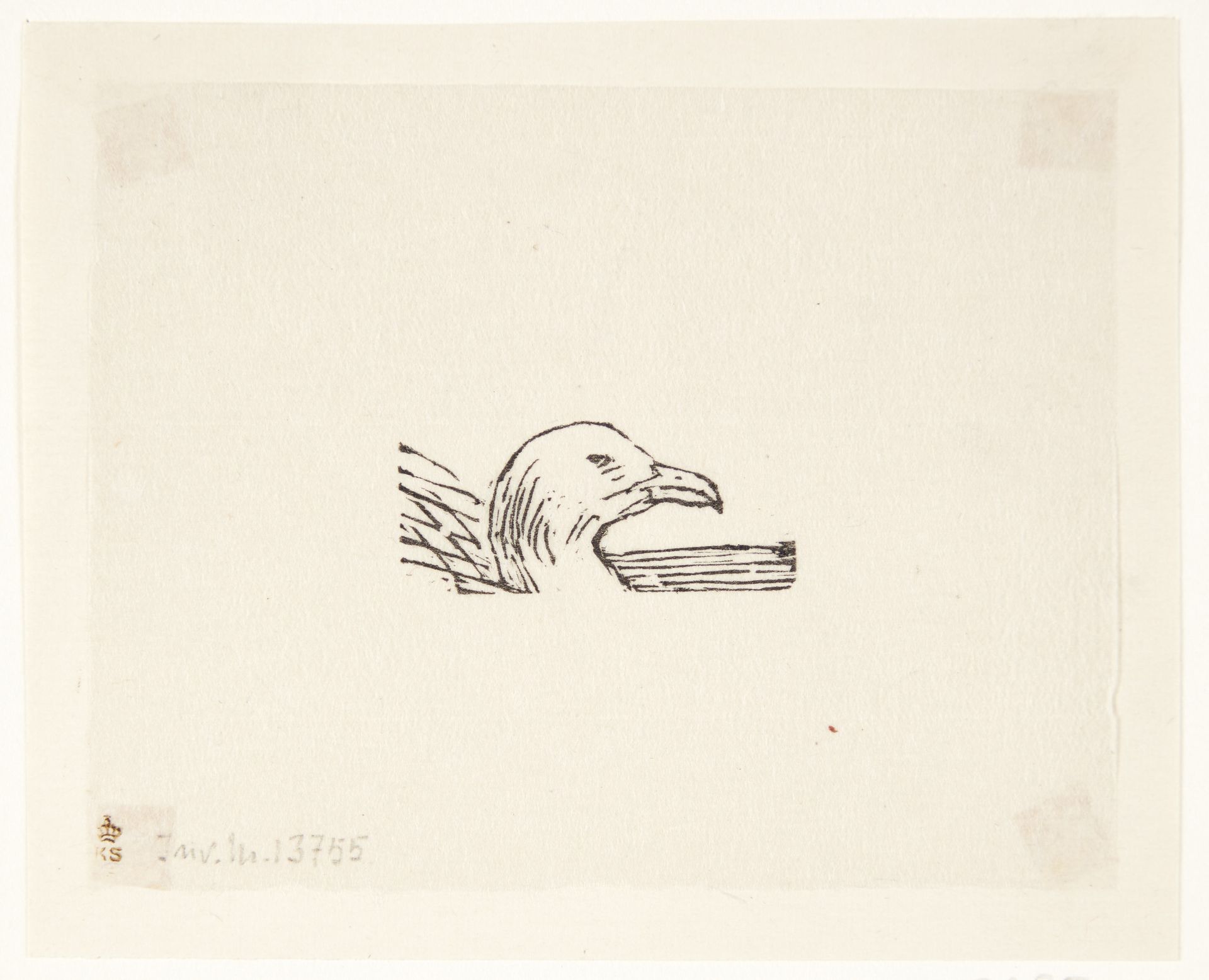 Fuglehoved by Larsen, Alhed