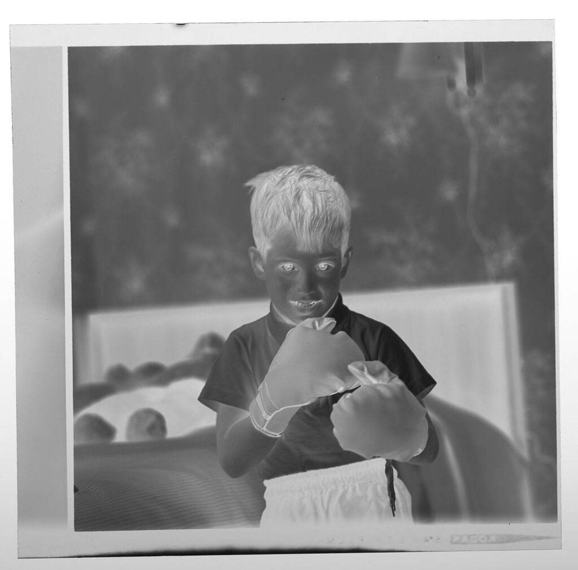 Untitled (boy posed wearing boxing gloves) by Martin Schweig