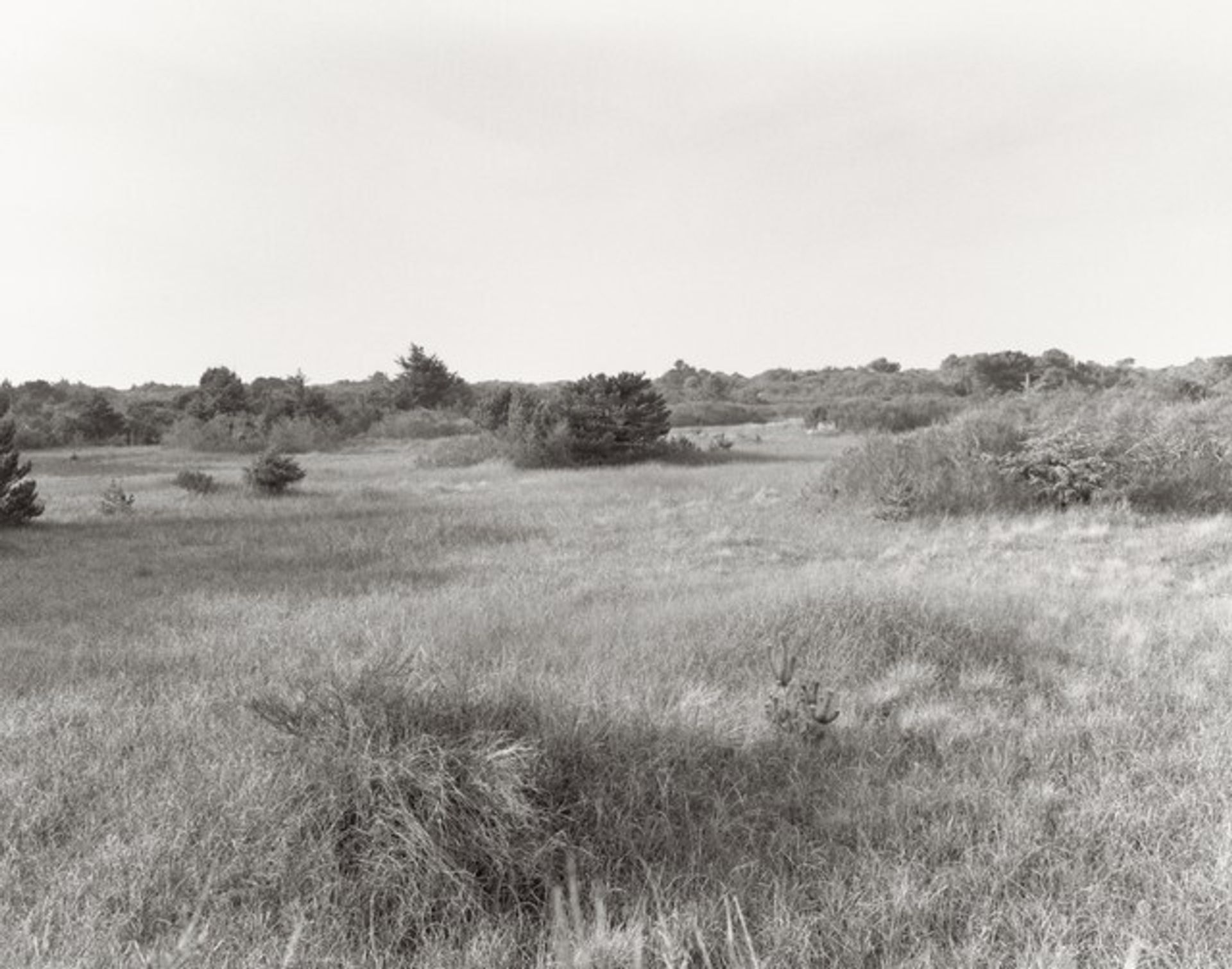 The Interior of the Spit by Robert Adams