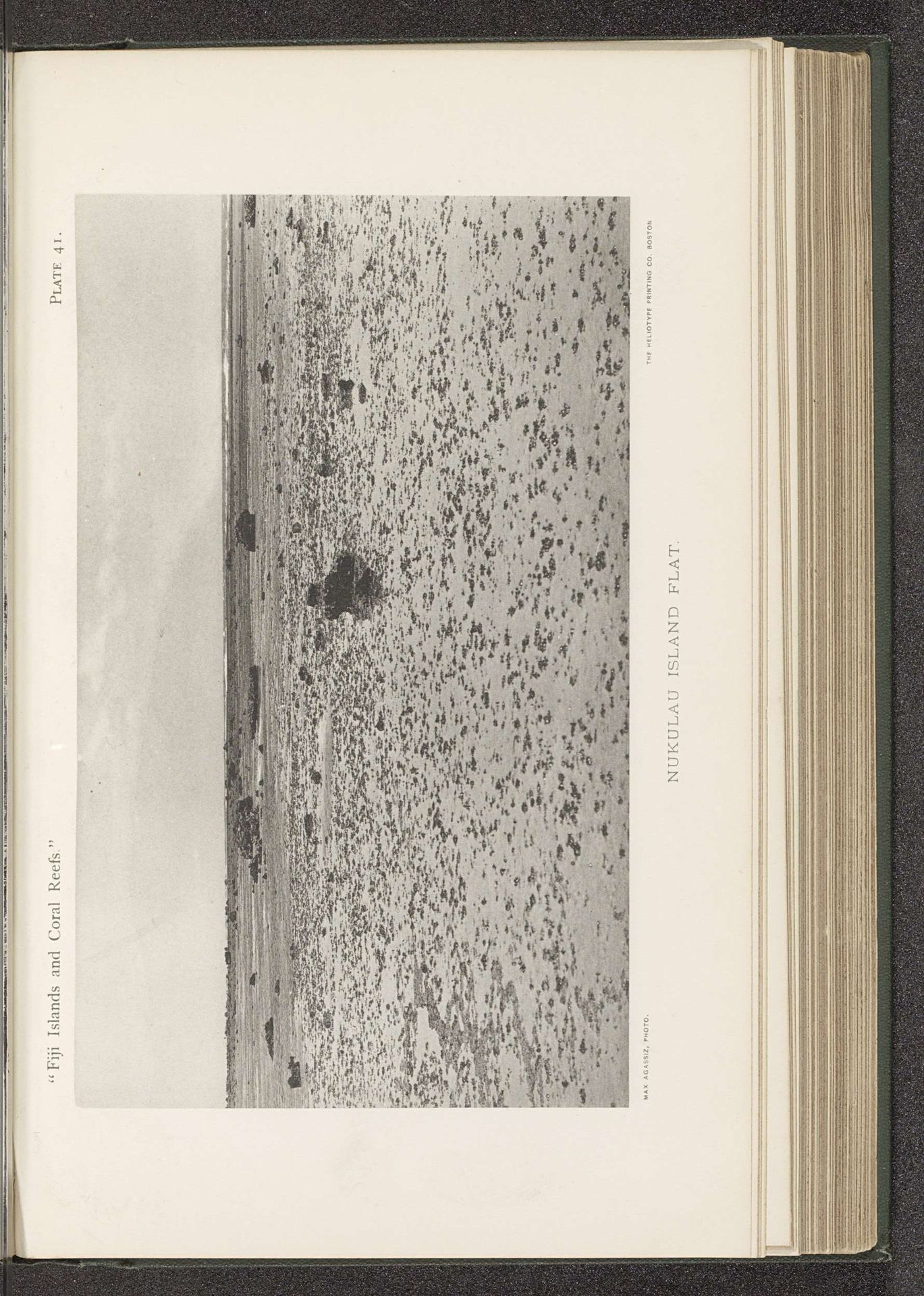 Gezicht op een koraalrif voor de kust van Nukulau by Maximilian Agassiz