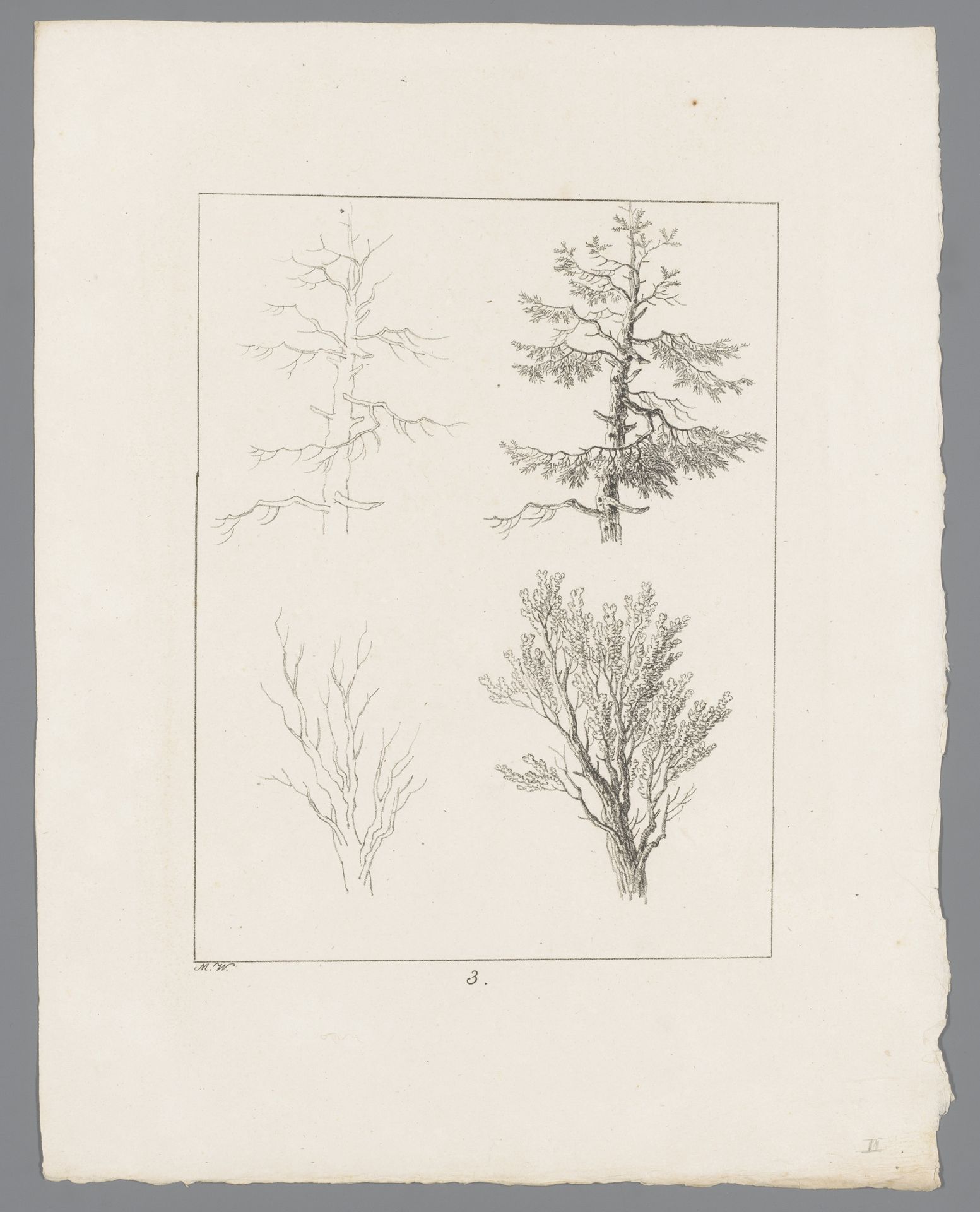 Silhouetten van boomtoppen by Max Josef Wagenbauer