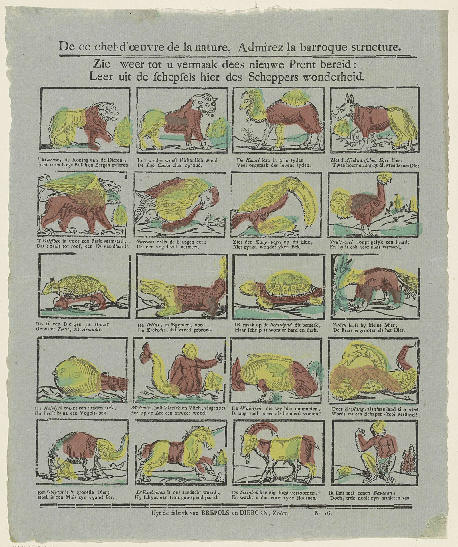 De ce chef d'oeuvre de la nature, Admirez la barroque structure / Zie weer tot u vermaak dees nieuwe prent bereid: / Leer uit de schepsels hier des scheppers wonderheid by Brepols & Dierckx zoon