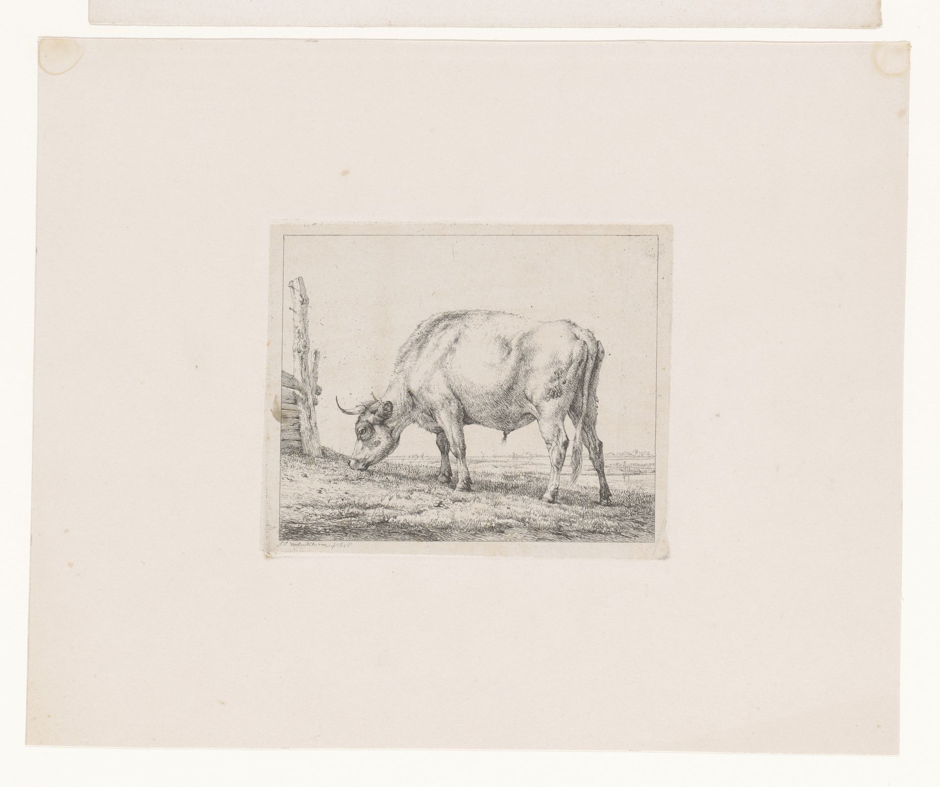 Grazende koe by Eugène Verboeckhoven