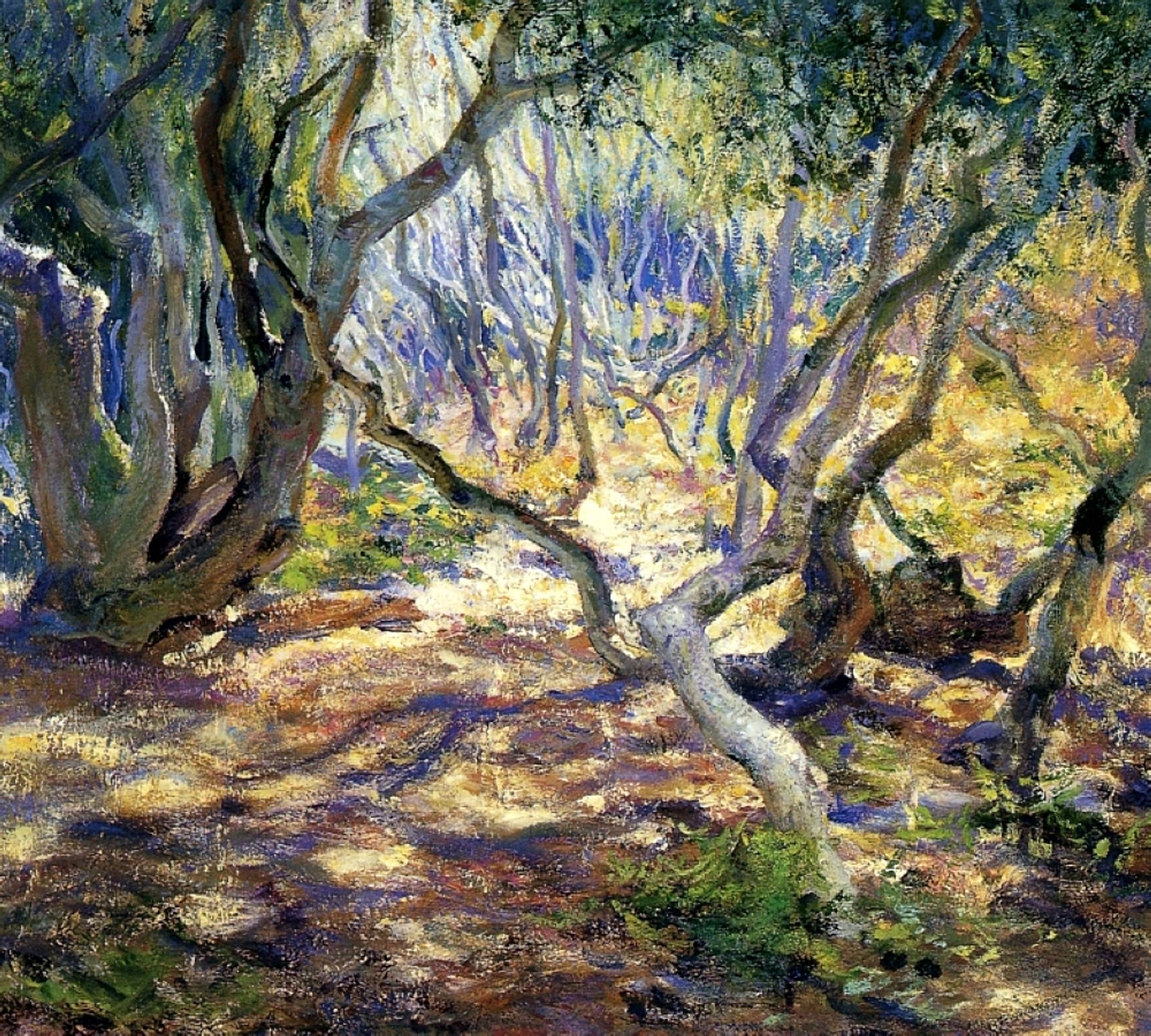 Oak Grove, Carmel by Rose O'Neill