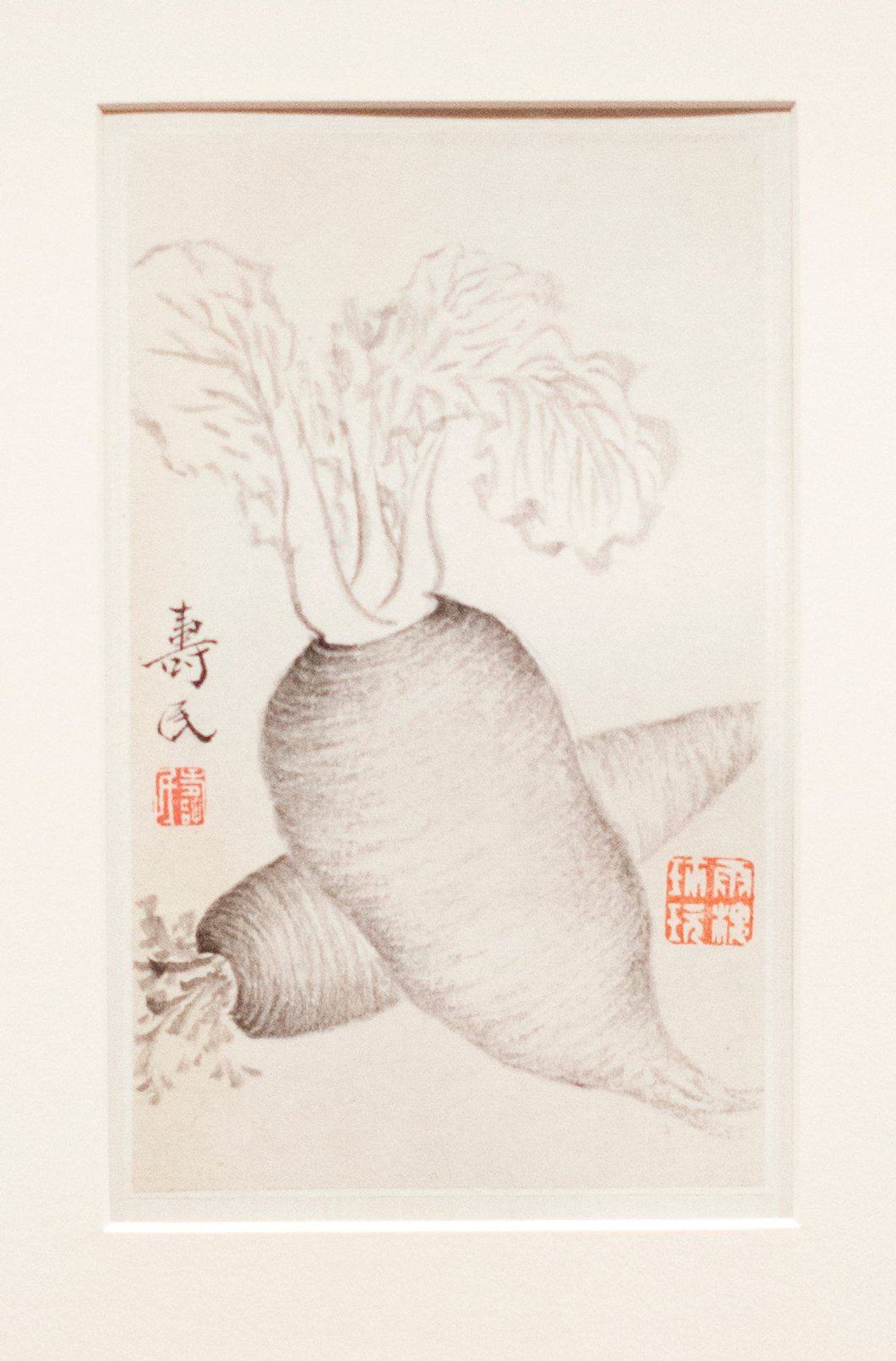 Daikon Radish by Bian Shoumin