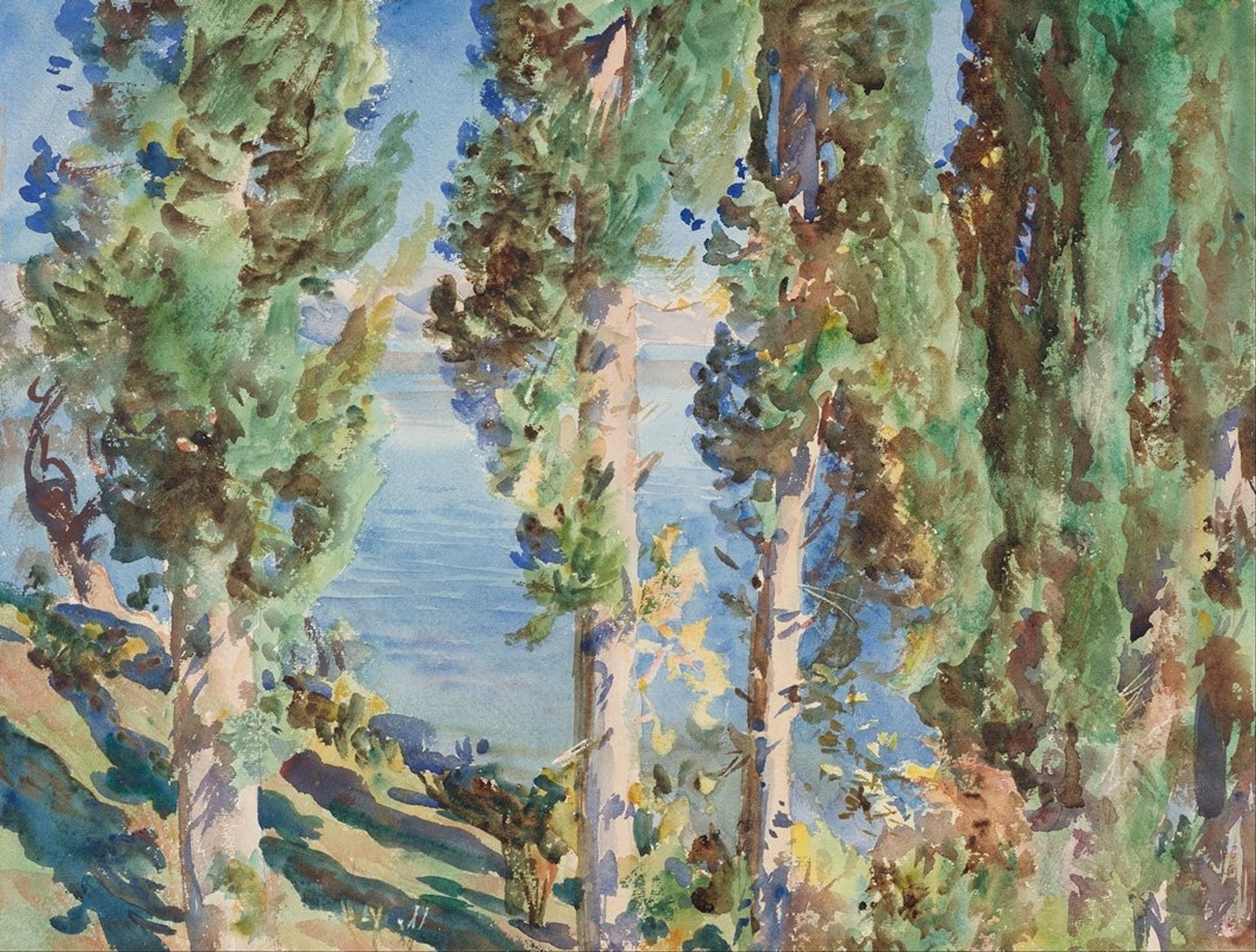 Corfu; Cypresses by John Singer Sargent